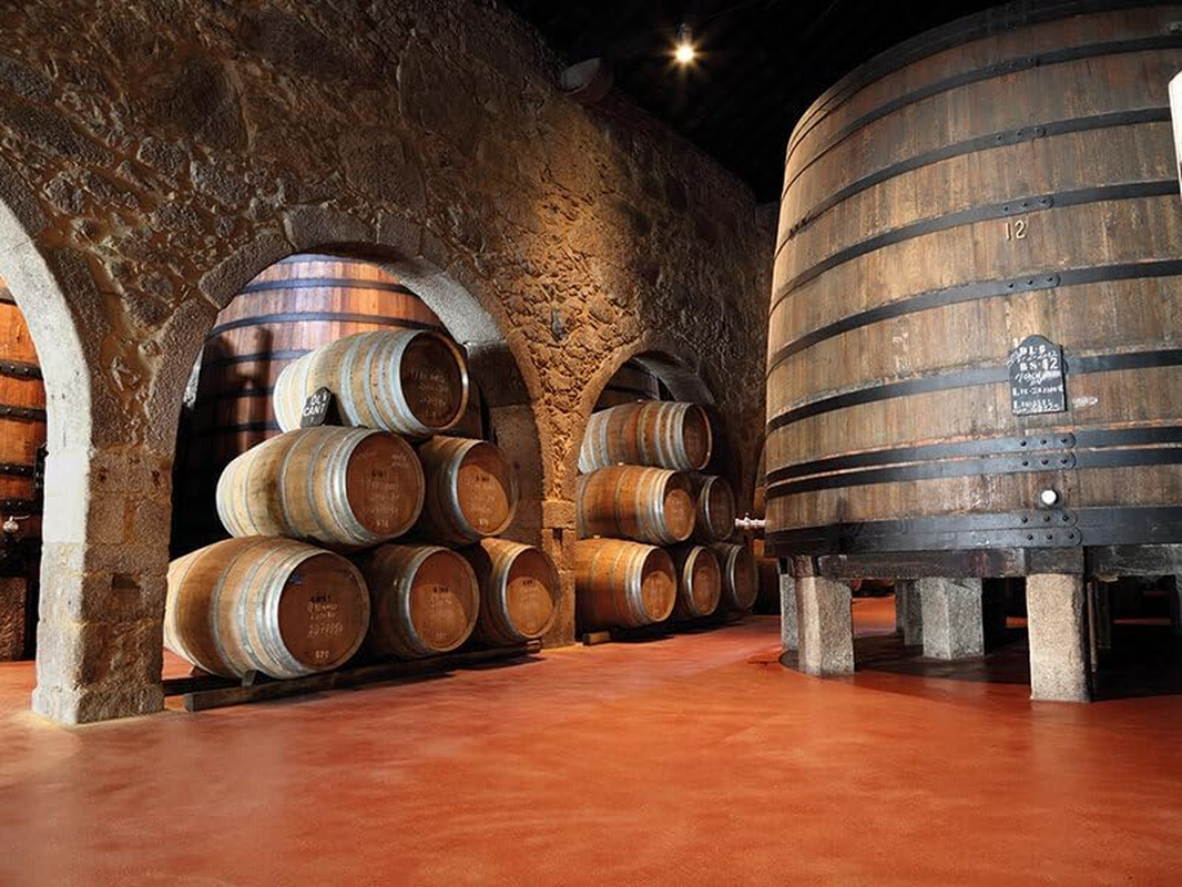 Smartbox - Gift Box for Men or Women - Wineries and Wine Gifts - Original Gift Ideas - 1 Wine Tasting in the Cellar and Free Bottles of Wine for 2 People