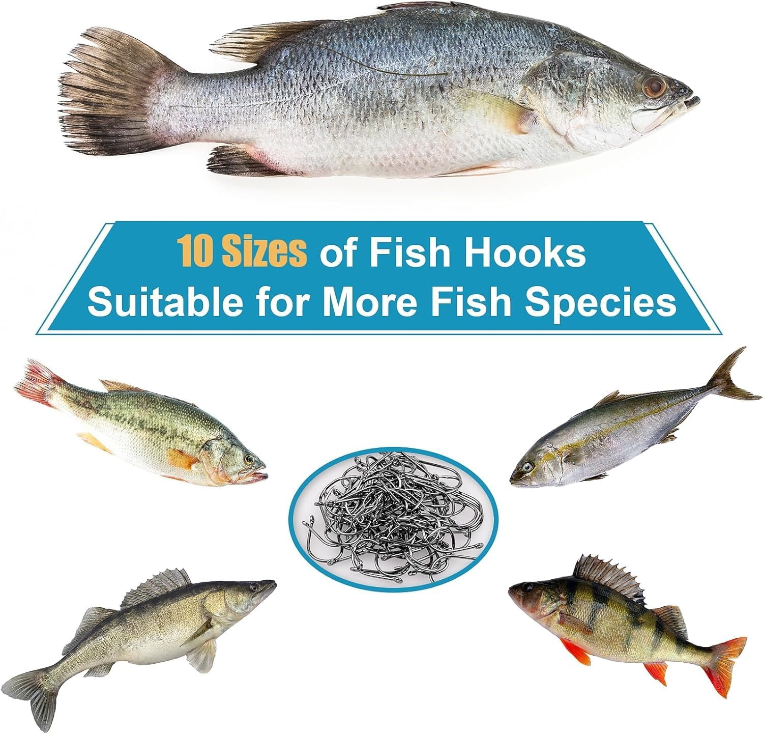 HENWUBEI 200PCS Premium Fishing Hooks, 10 Sizes Carbon Steel Fishing Hooks W/Portable Plastic Box, Strong Sharp Fish Hook with Barbs for Freshwater/Seawater image number 3