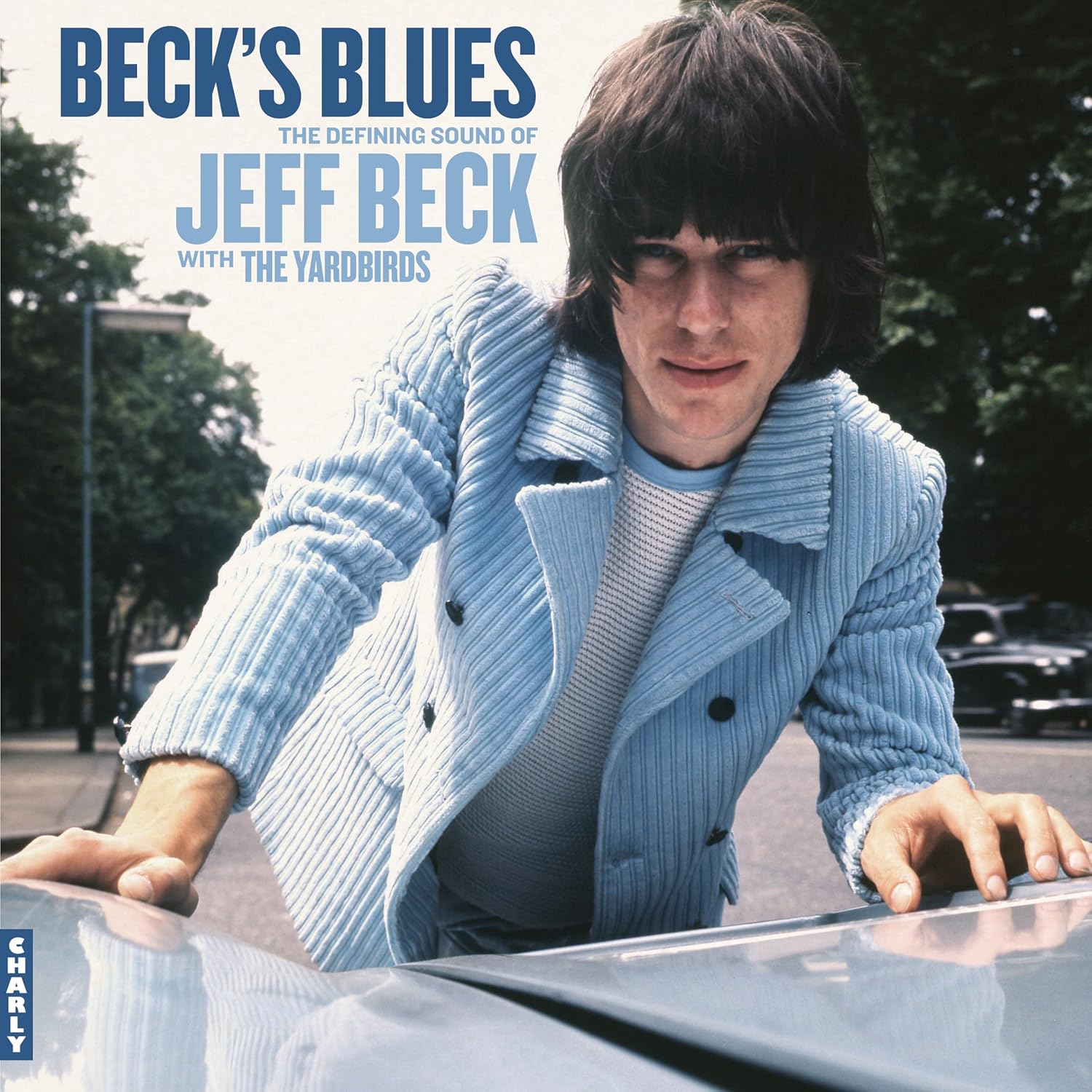 Beck'S Blues image number 4