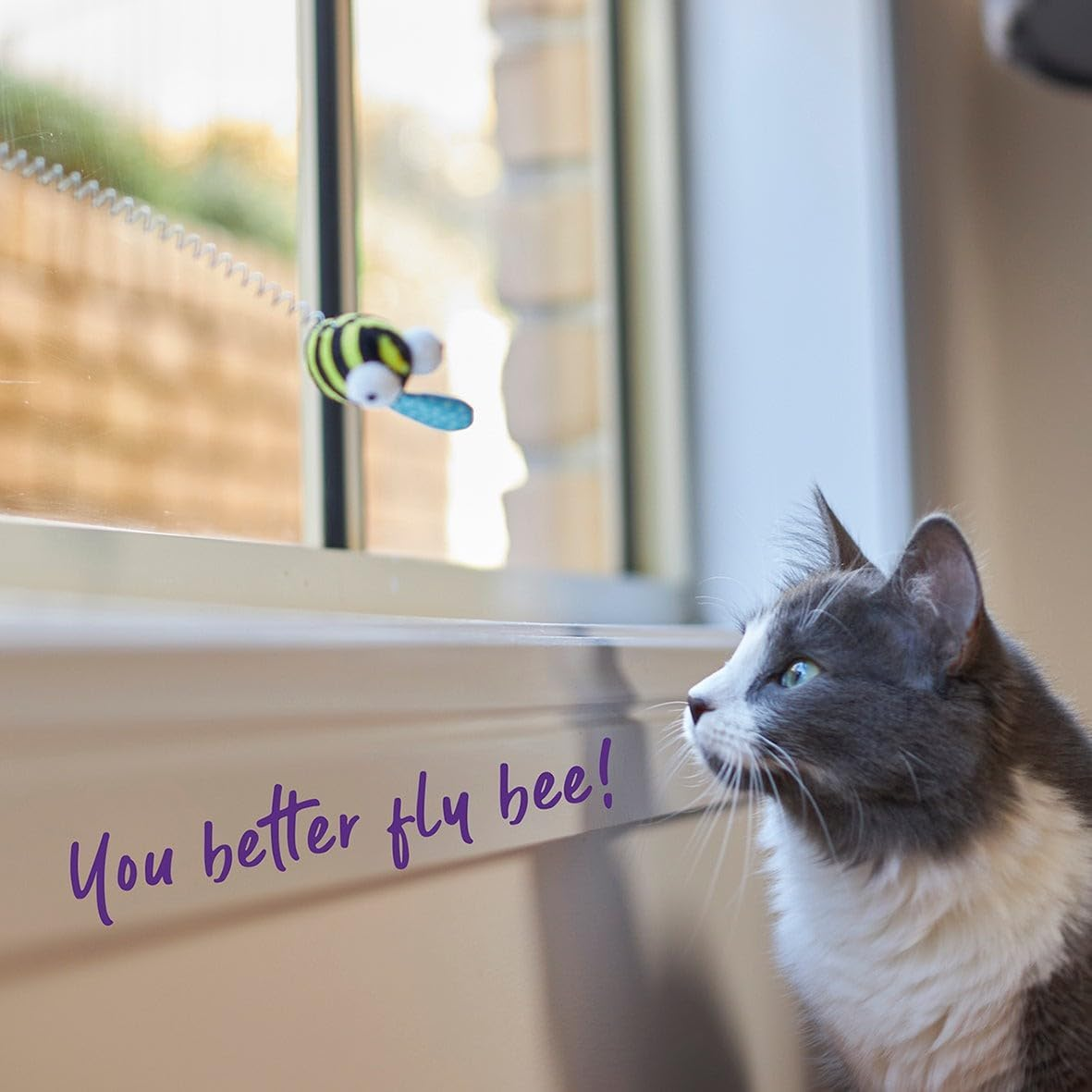 Kazoo Bouncy Bee Cat Toy image number 2