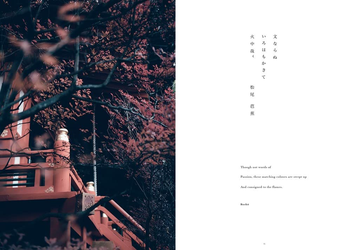 In Kyoto image number 5