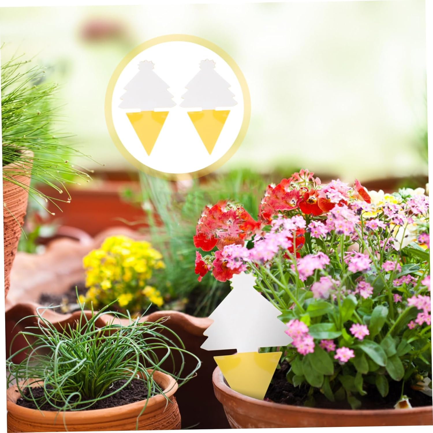 Garden Sticky Boards 30Pcs Bug Catching Plant Fly Sticky Traps Outdoor Use image number 1