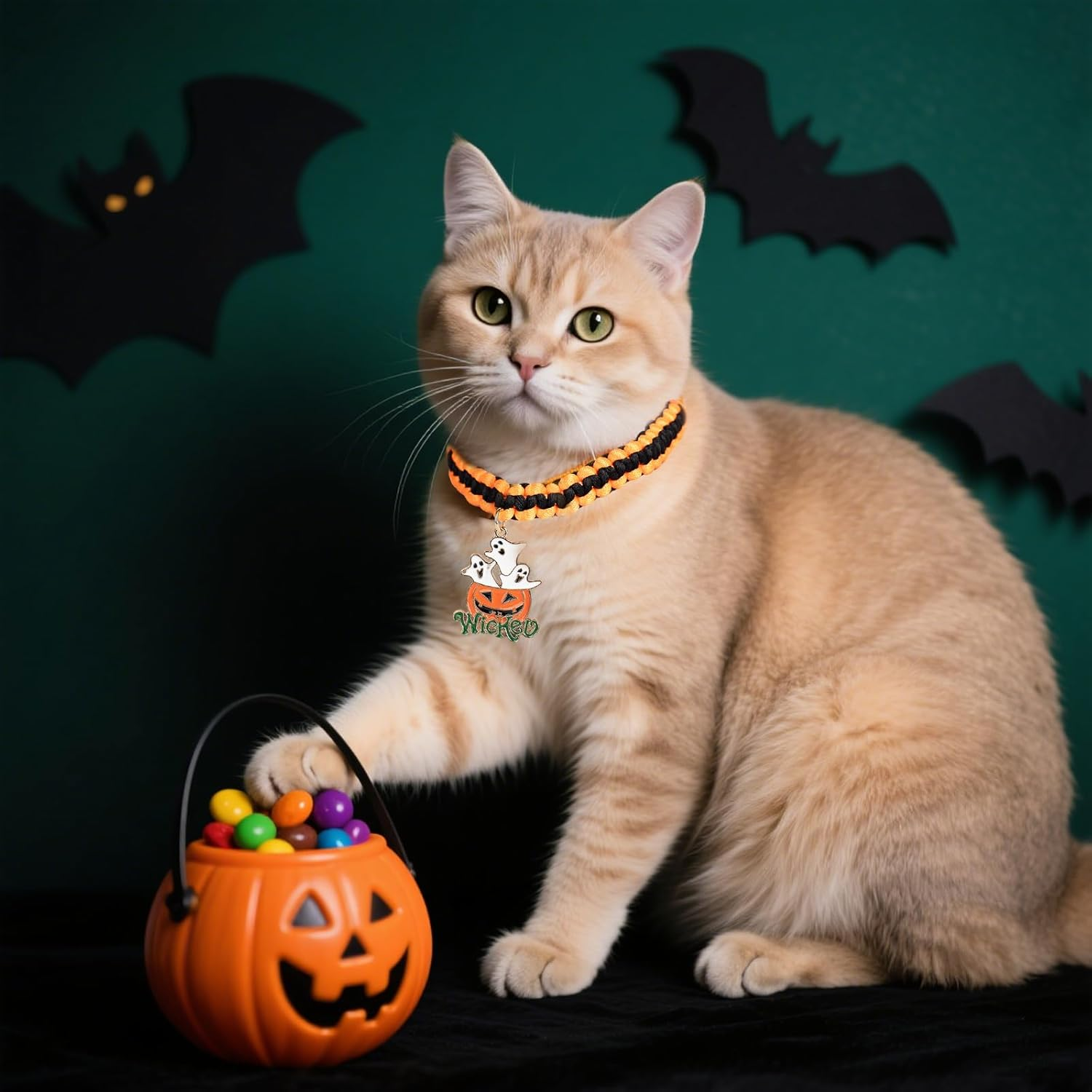 Halloween Cat Collar image number 3