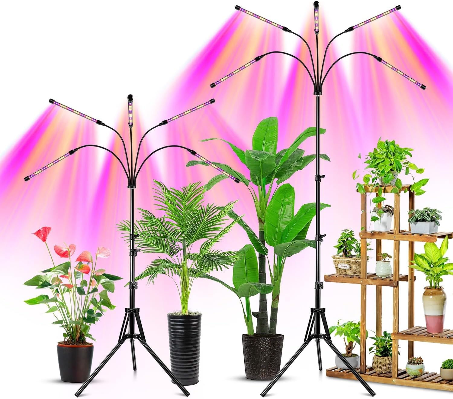 Grow Lights for Indoor Plants, LED Grow Light Stand, Red White Full Spectrum Plant Lamp with Adjustable Tripod, Gooseneck, Suitable for Flowers Vegetables image number 6