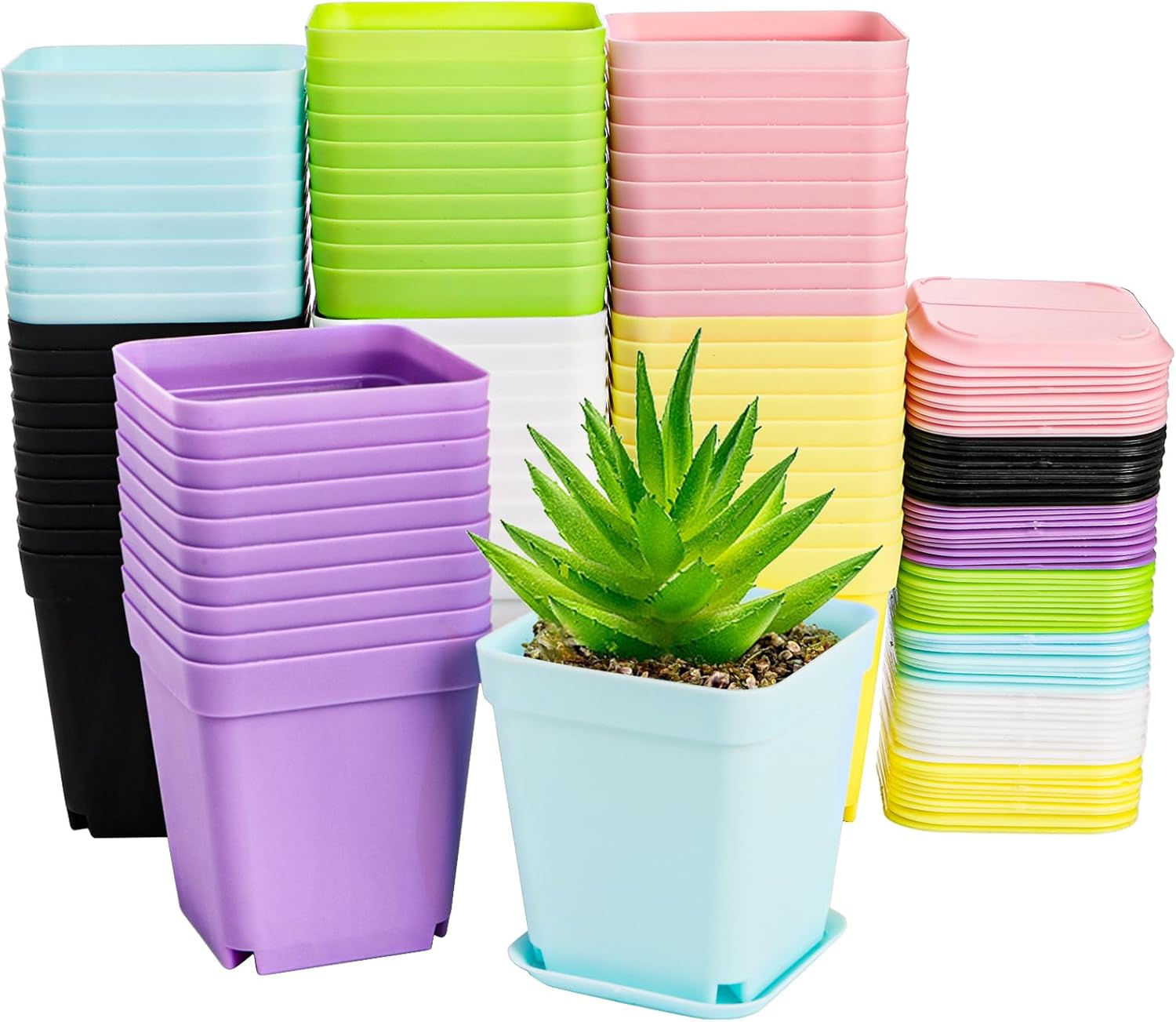 Hedume 70 Pack Mini Plastic Flower Seedling Nursery Pot with Pallet, 3" Colorful Square Plant Pot, Indoor Outdoor Flower Plant Container, Decor for Room, Garden, Office and Balcony (7 Colors)