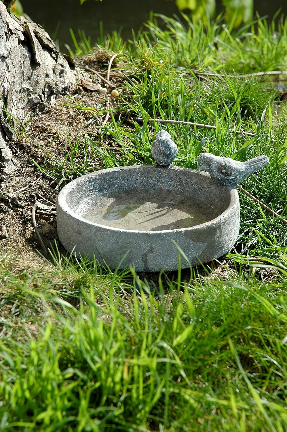 Dobar&reg; Classic Bird Bath Pool Oasis - Bird Bath Made of Cement - Bird Pool for Wild Birds - Water Bath for Garden/Patio/Balcony - Diameter 18 Cm - Grey image number 3