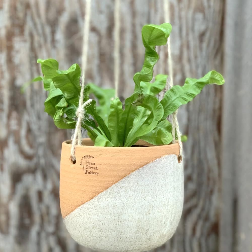 Jijacraft Jute String Coloured Craft Cord Garden Cord Decorative Cord 2 Mm X 100 M for DIY Crafts Gardening Gifts Packaging (Beige) image number 5