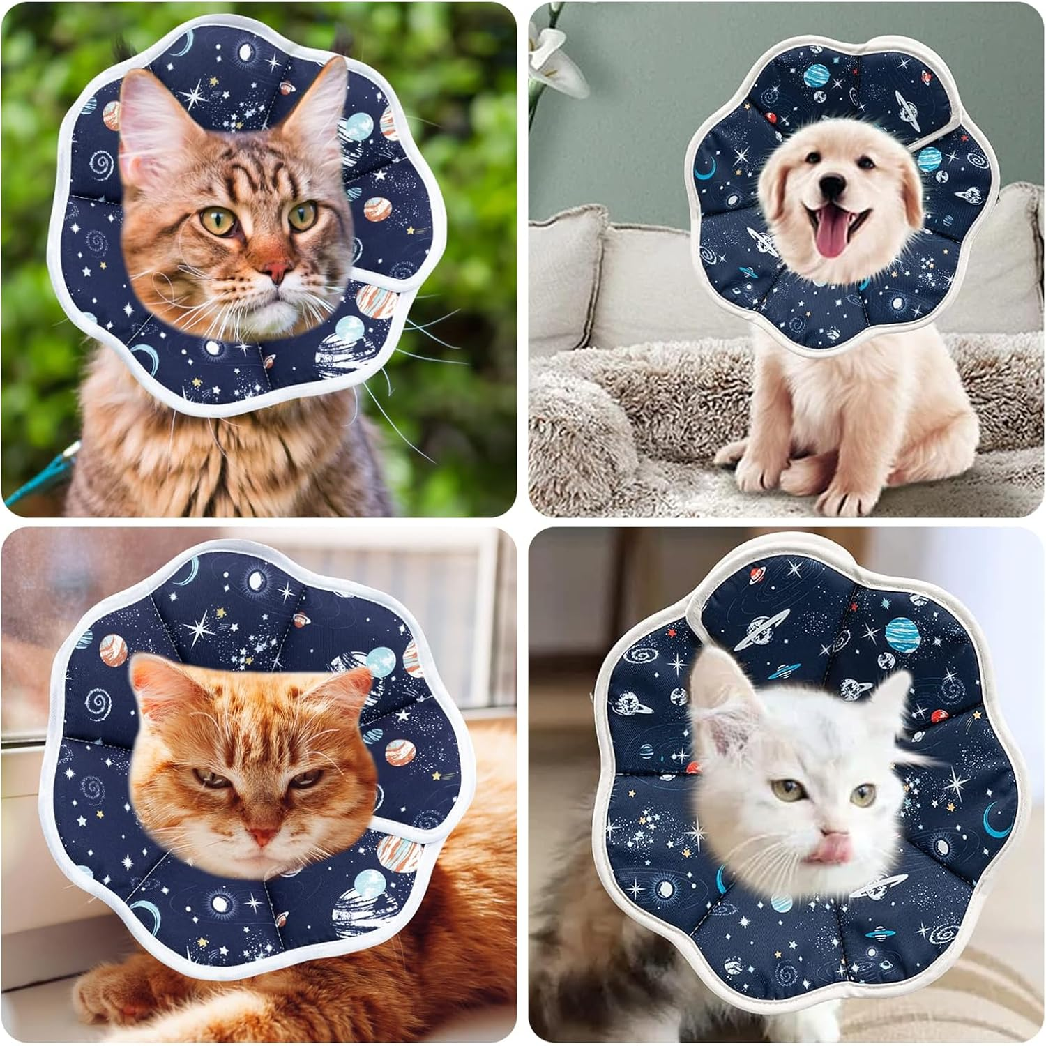 Velmoriah Cat Cone Collar Soft, Adjustable Cat Recovery Collar to Stop Licking, Protective Pet Cone Collar after Surgery for Cats (S) image number 2