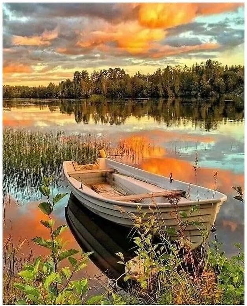 Syntego 5D DIY Diamond Painting Art for Adults 40 X 30Cm, round Crystal Rhinestone Canvas S for Arts and Crafts & Wall Decor (Baby Tiger)