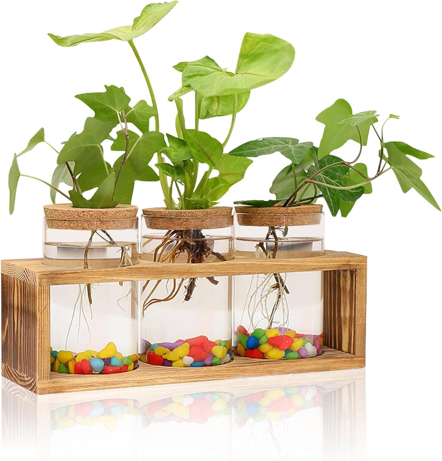 Clear Plant Propagation Station with Retro Wooden Stand, Glass Plant Terrarium Decor with 3 Vase, Desktop Plant Stand for Hydroponic Home Office Garden Decor, Plant Lover Gifts (3 Vase) image number 2
