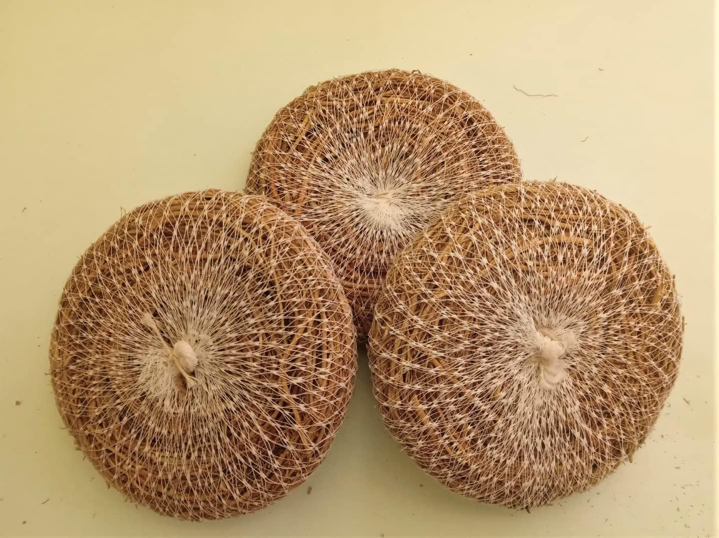 Vetiver (Khus) Ramacham Root Stress Relief Natural Body Coolant Natural Fragrance_Organic Body Bathing Scrubber Pack of 3 image number 4