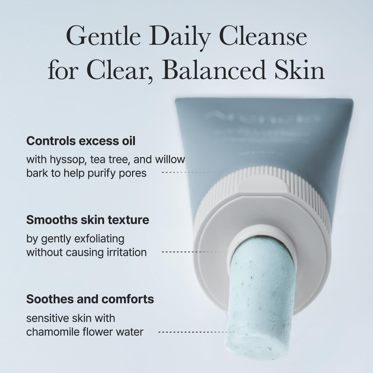 ARENCIA Hyssop Sebum Control Rice Cake Cleanser 150G image number 6