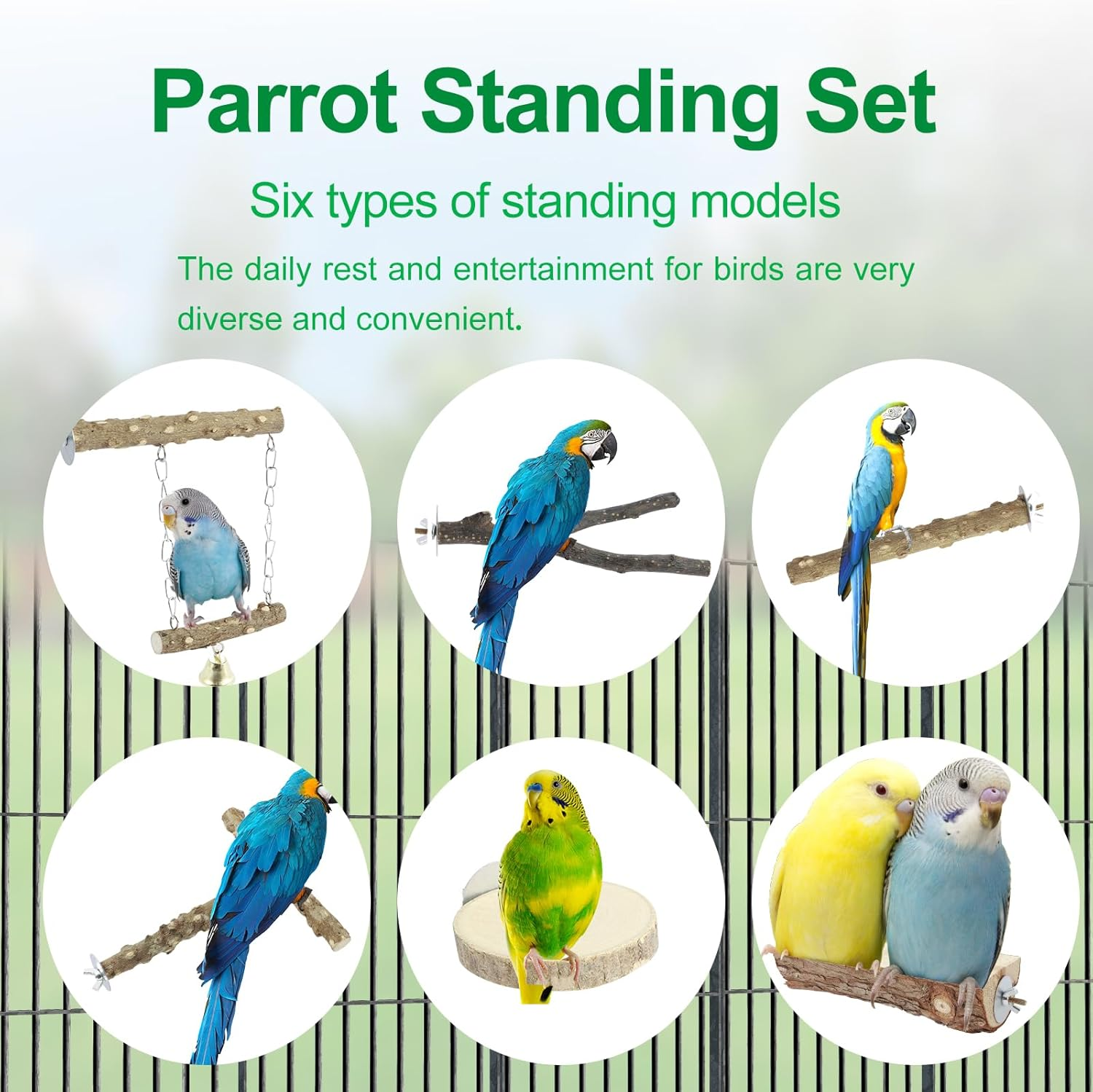 6 Pcs Natural Wood Bird Perch, Enduring Parrot Perch, Environment Friendly Bird Perch, Stand Safe Reliable Bird Perch, Non Toxic Parrot Perch Easy to Install Bird Perch Stand for Parakeet Cockatiels image number 5