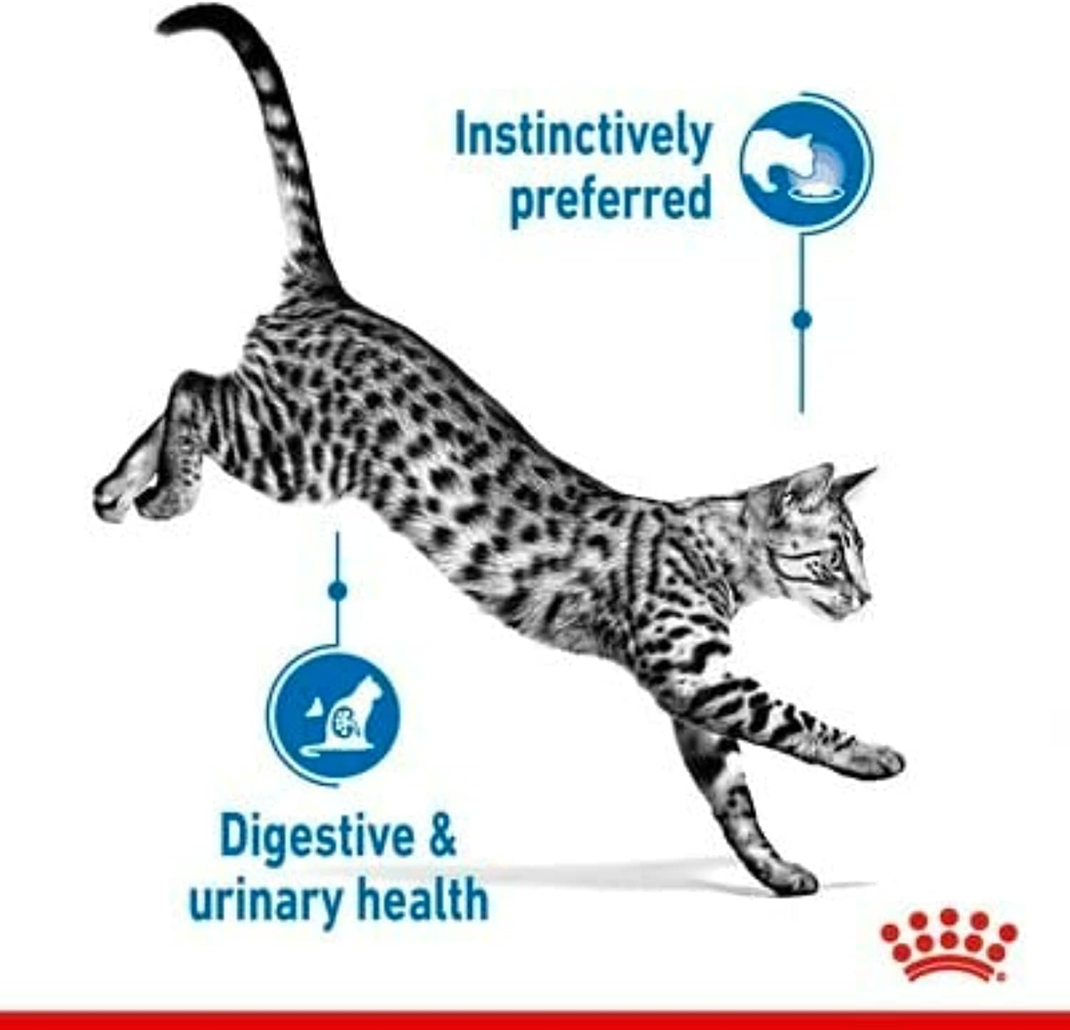 Royal Canin Indoor Sterilised Adult in Gravy Pouches Wet Cat Food 85 GMS 12 Pack image number 3