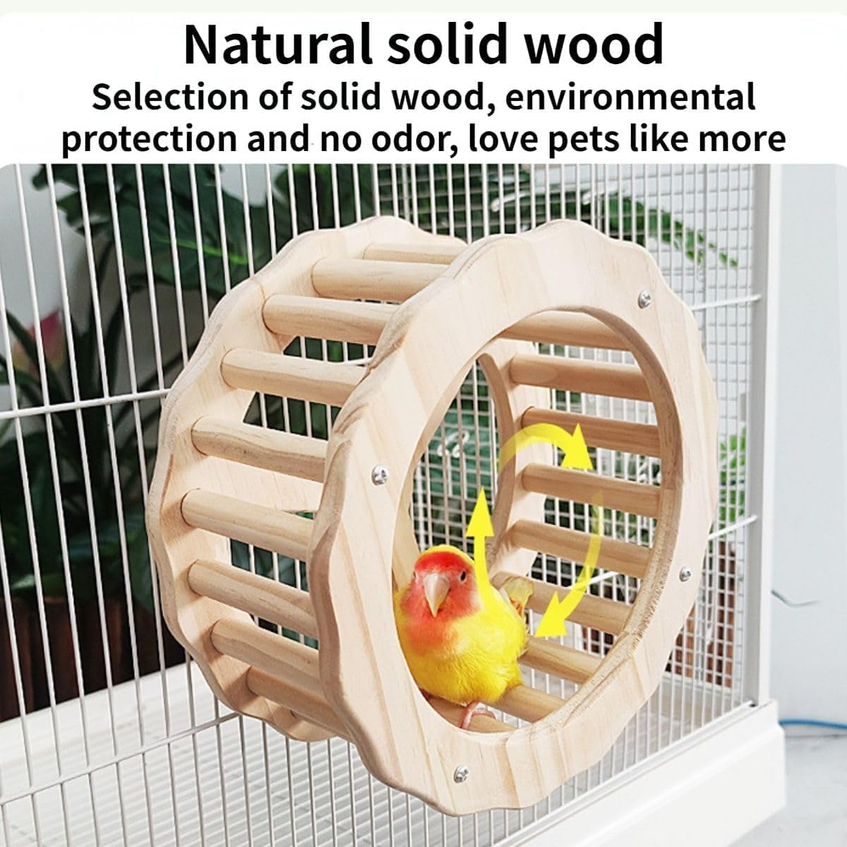 AIMALL Wooden Parrot Exercise Wheel Toy with Silent Bearings and Durable Design for Climbing and Play, Bird Cage Accessory image number 1