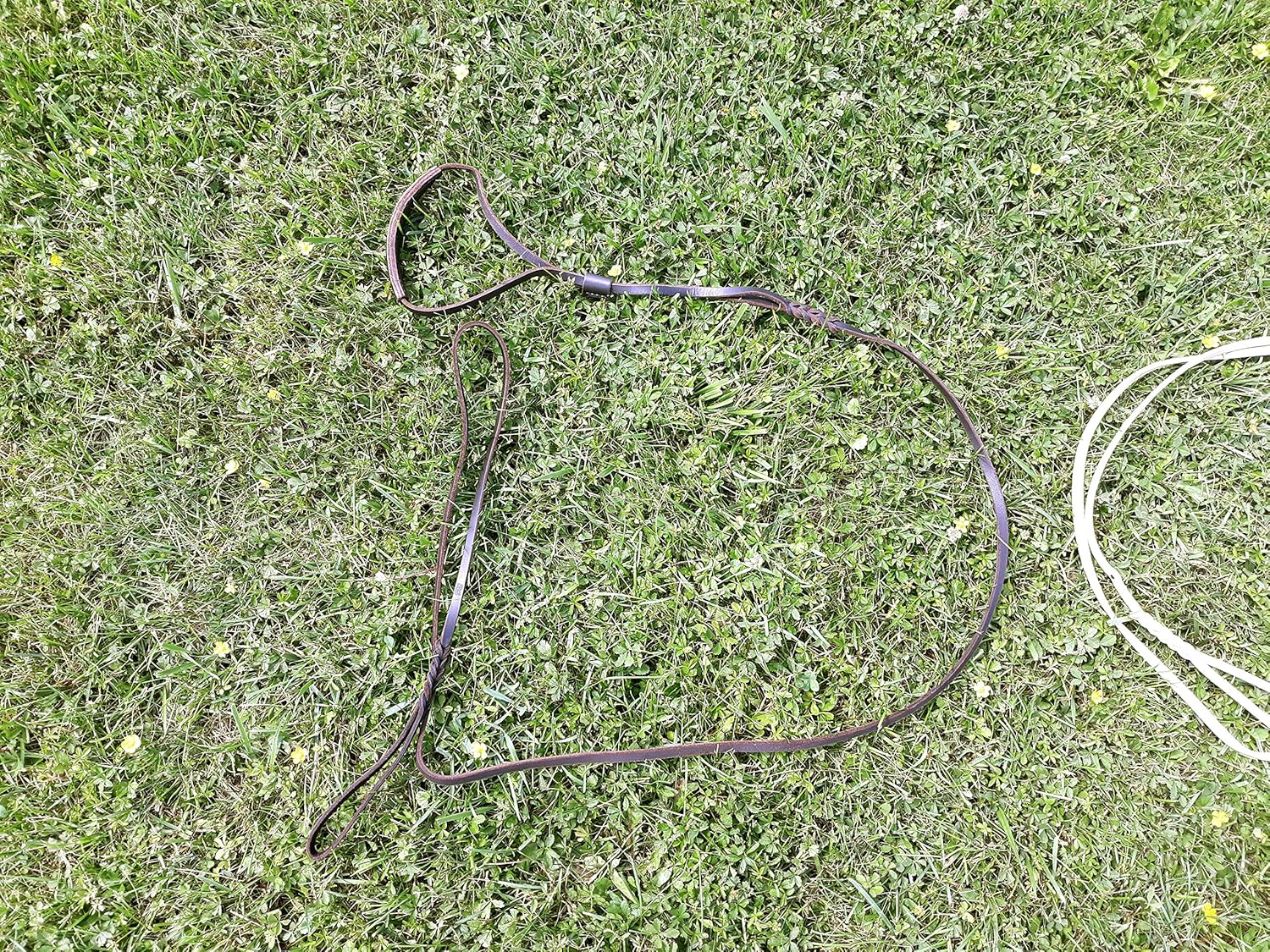 Dingo Soft Leather Show Lead with Braided Handle, Handmade, Dog Exhibition Leash, Brown 10700