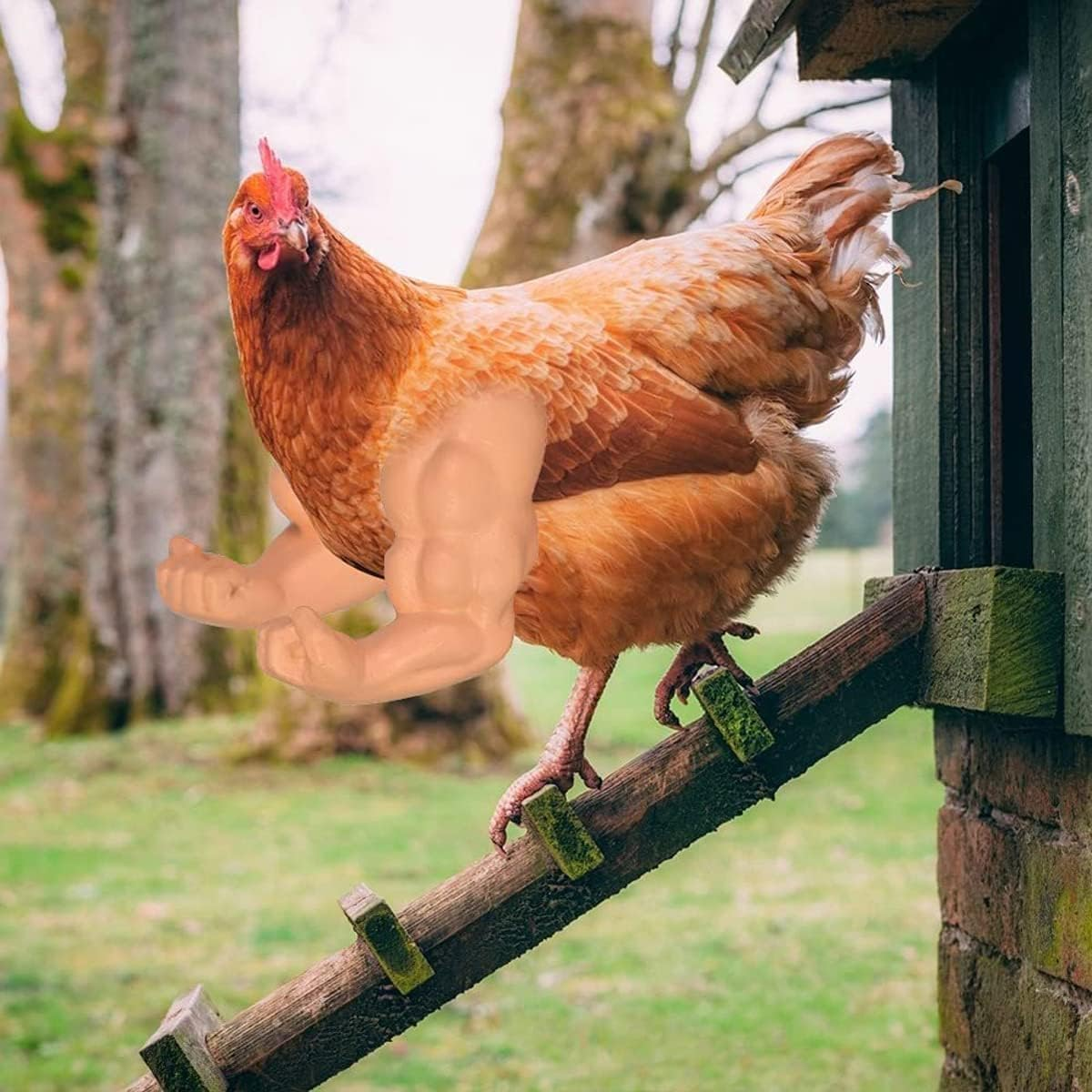 Siliconechickenarmpoultry Prop,1Pair Silicone Chicken Decoration Chicken Arm Poultry Prop,Funny Chicken Arm Wearingpoultryprop,Funnychicken Doll Arm Poultry Prop,Strong Chicken Arms Poultry Prop image number 1