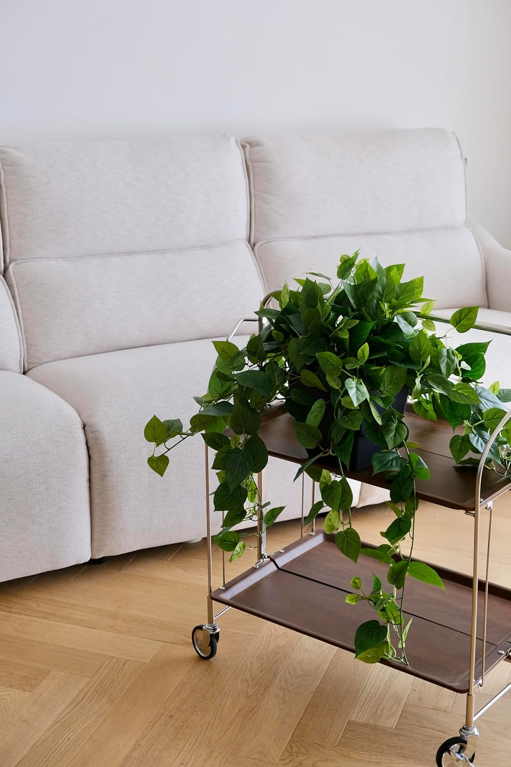 365 Blooming Decor Realistic Artificial Pothos Ivy Plant, Silk, for Office, Home Decor, 30" H X 22.8" W, in Contemporary Black Pot //No Assembly Required//Fade-Resistant. image number 6