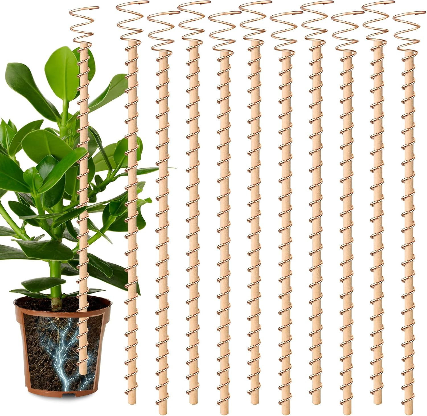 10Pcs Electroculture Plant Stakes, 13.5''/17" Available Copper Coil Wire Antennas Garden Stakes, Tensor Rings Kit, Copper Rods Electronic Planting for Growing Vegetable Garden Plants Support image number 6