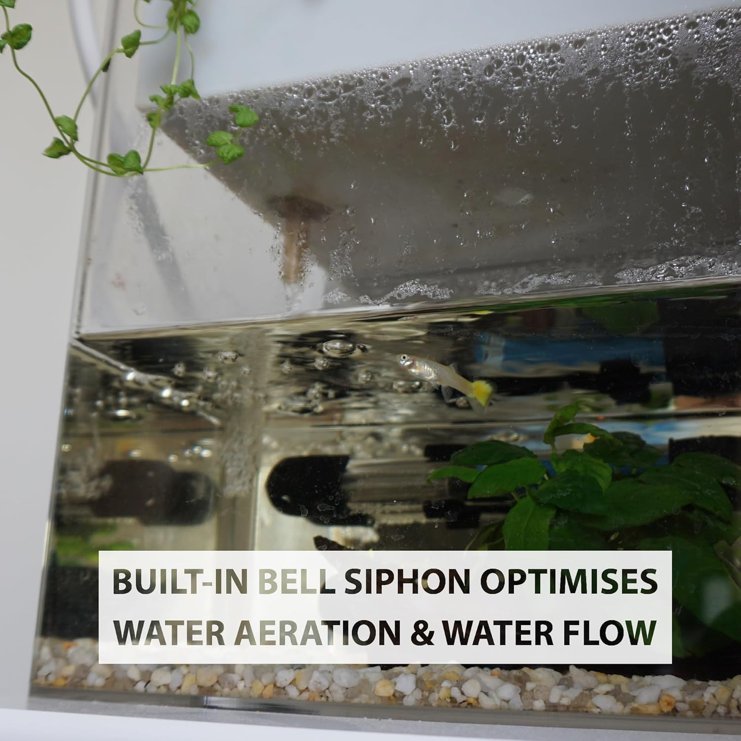 Naturepon Fish Garden Aquaponics Kit - Self-Cleaning Aquarium with Automatic Watering for Organic Herbs, Fruits, and Vegetables - Sustainable Greenhouse Indoor Gardening for Families and Kids image number 6