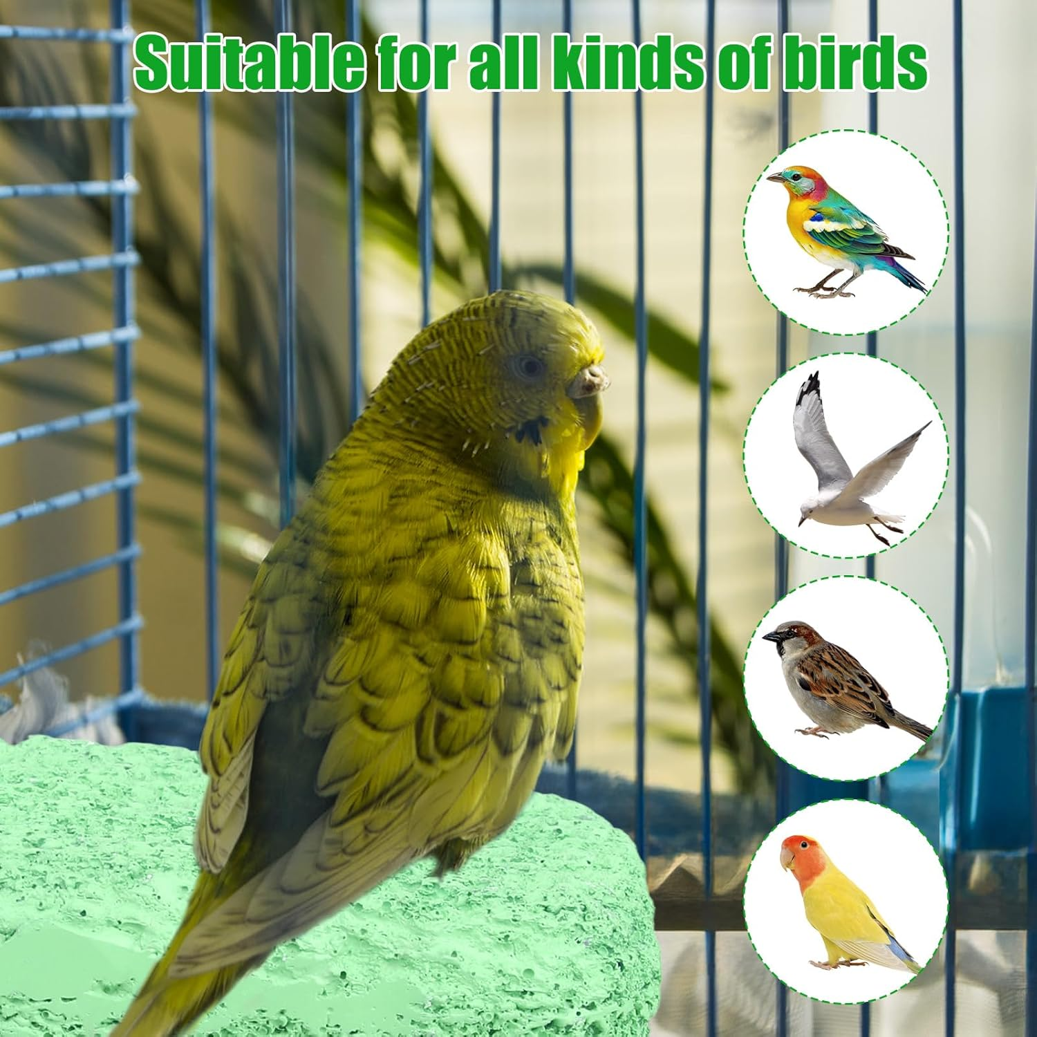 2Pcs Anti-Slip Bird Beak Grinding Stones, Washable Resin Bird Beak Trimmer & Nail Filing Stand Platform Cage Accessories for Parrots Budgies Cockatiels Parakeets