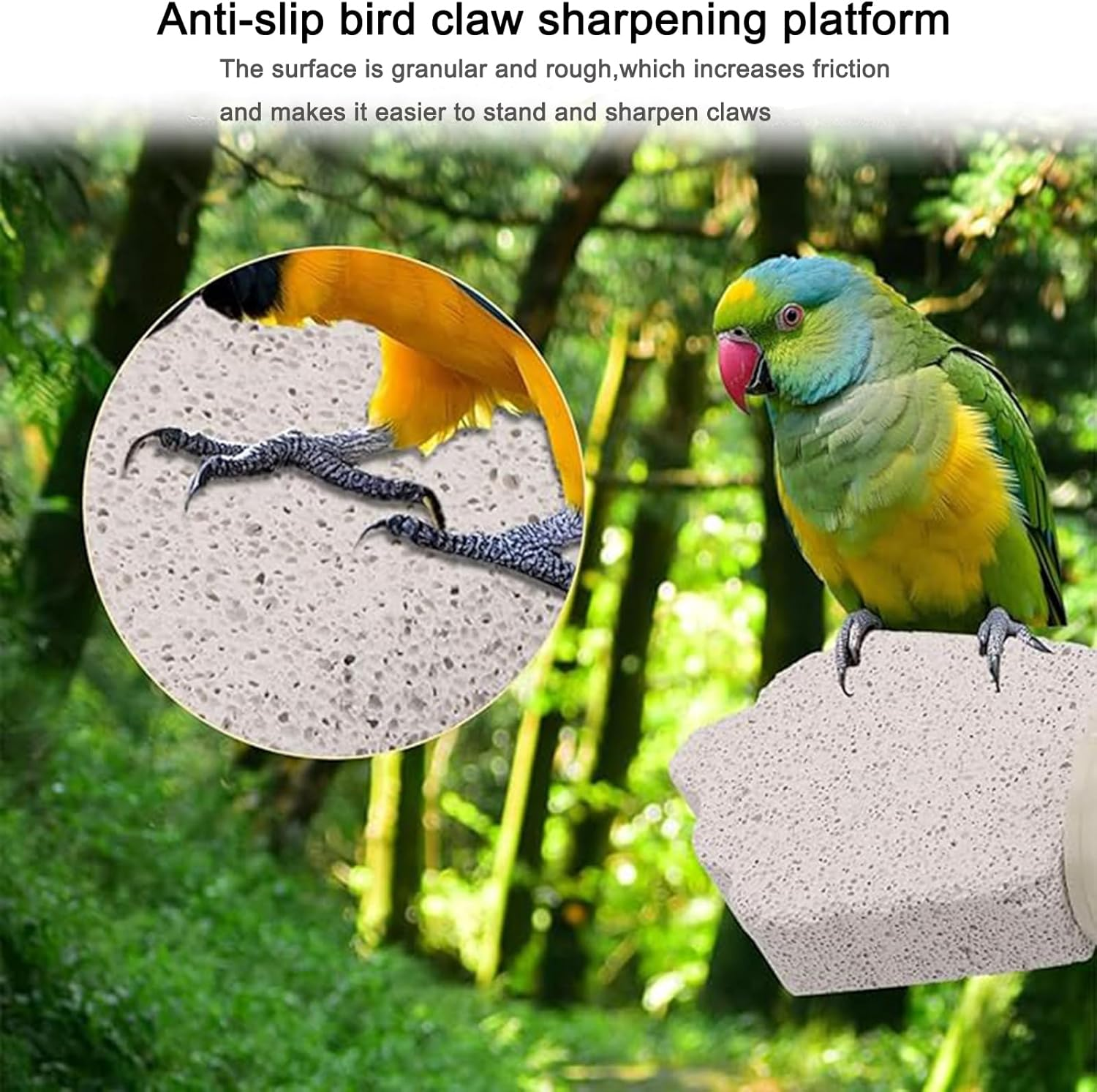 4Pcs Bird Perch Stands with Beak Grinder & Calcium Stone for Small Birds - Cockatiel, Lovebird, Conure (Gray, Grapes) image number 2