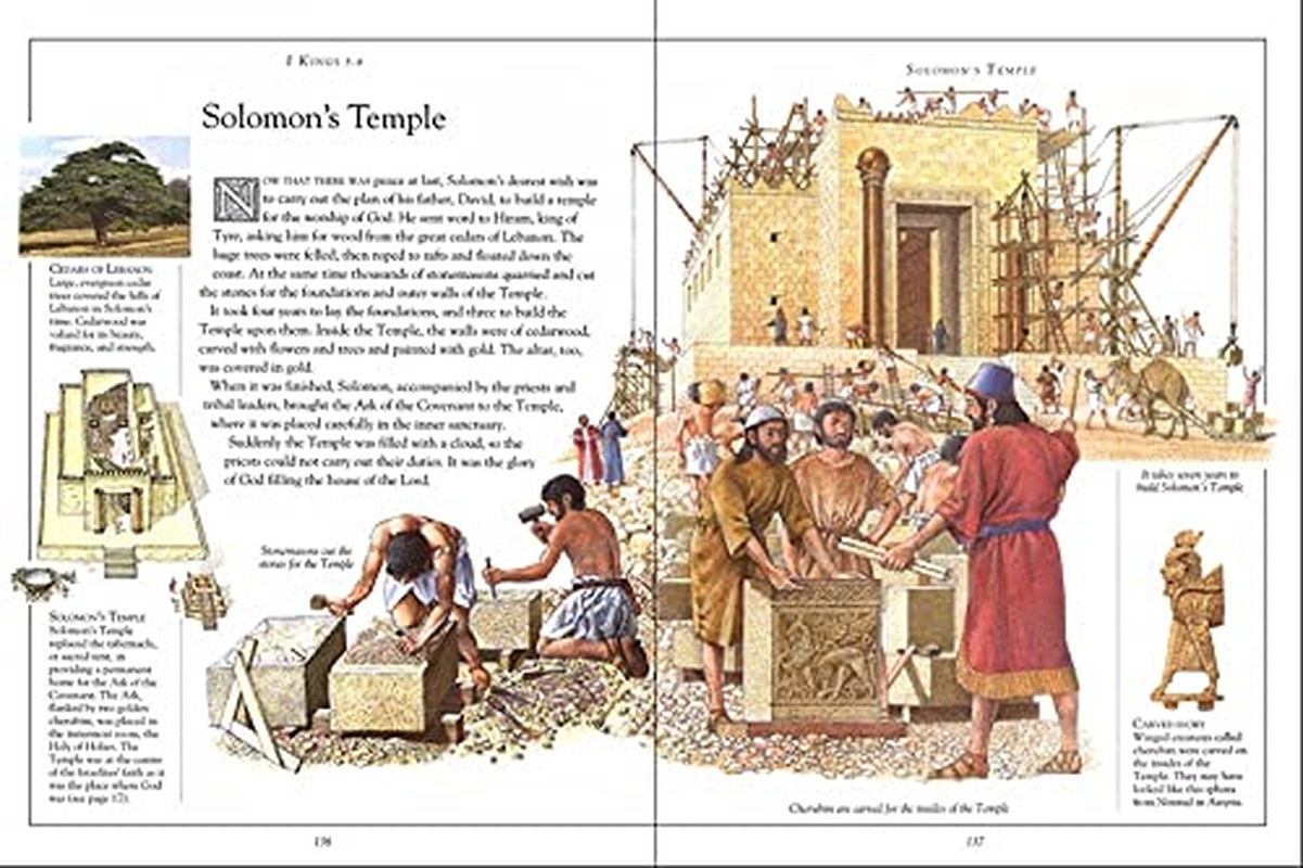The Children'S Illustrated Bible image number 4