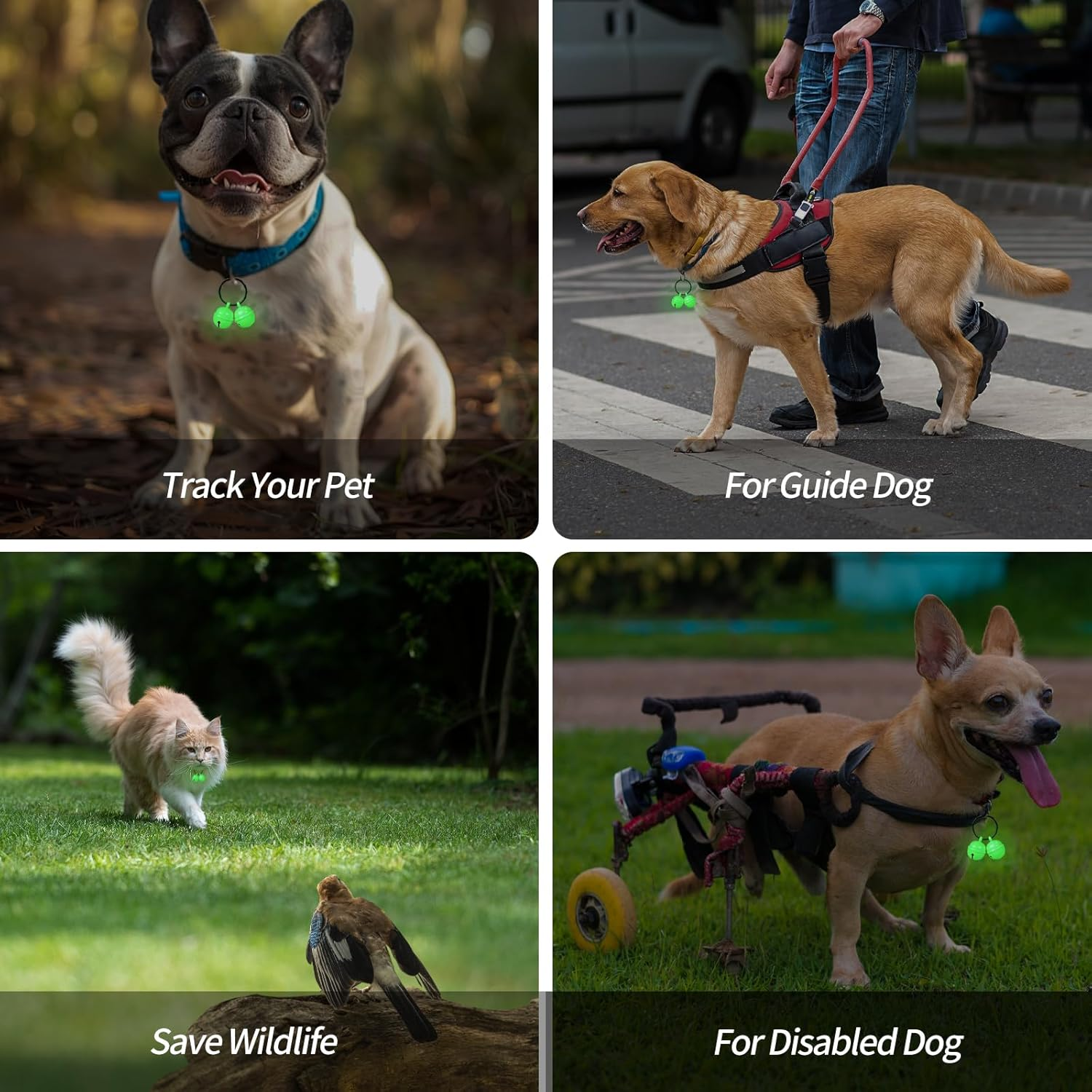 Bells for Dog Collar, Extra Loud Dog Cat Glow Bell for Pet Tracking & Saving Wildlife, Birds, Durable Copper Bells image number 4