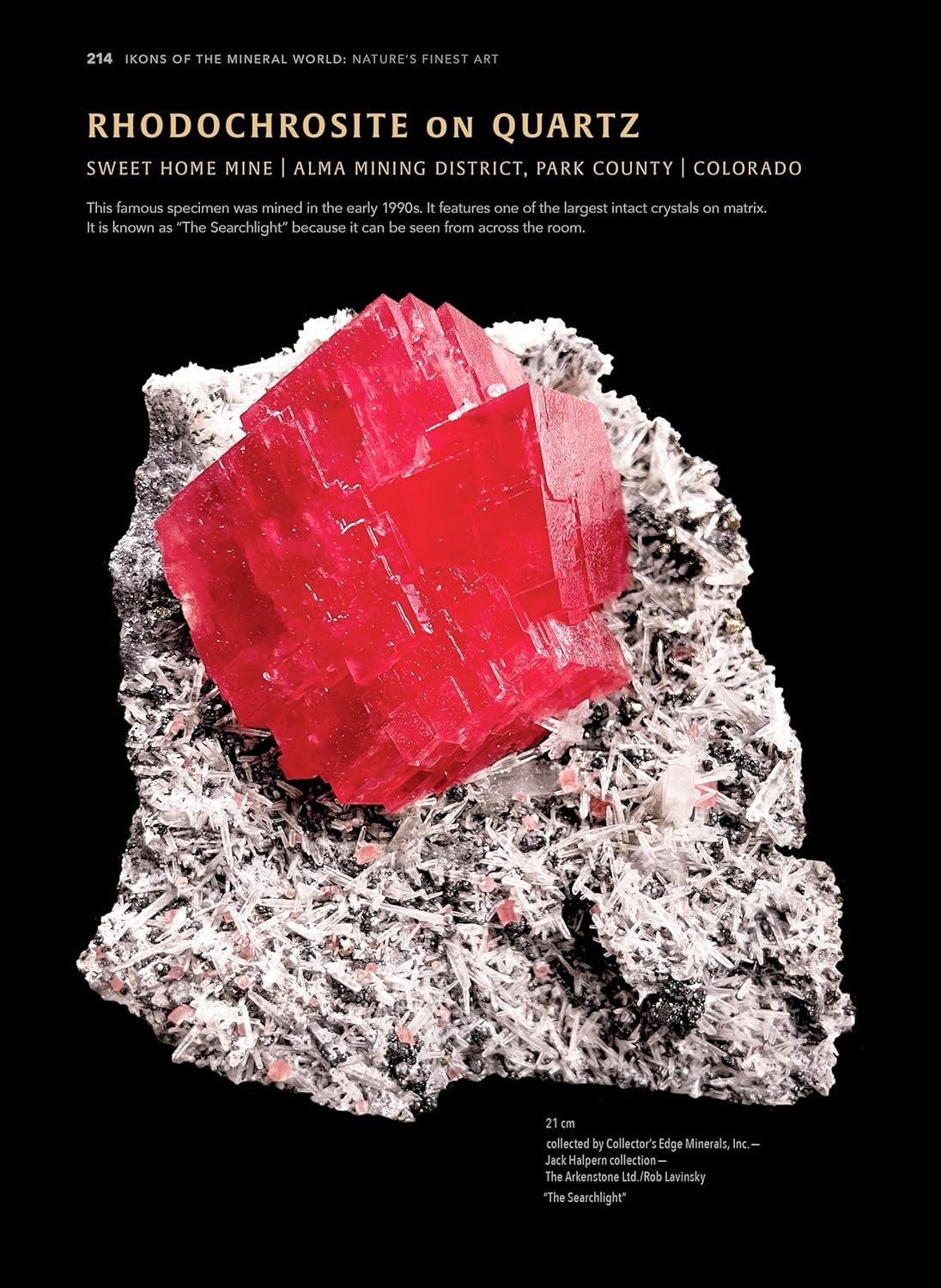 Ikons of the Mineral World: Nature'S Finest Art image number 3