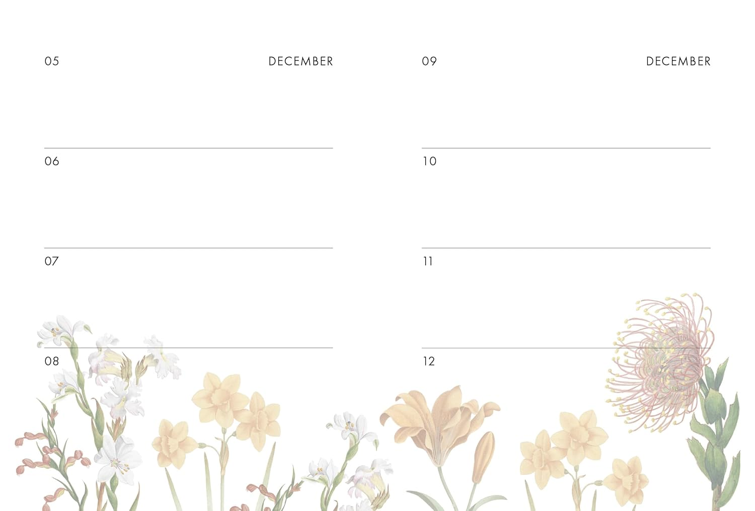 Rhs Birthday Book image number 2