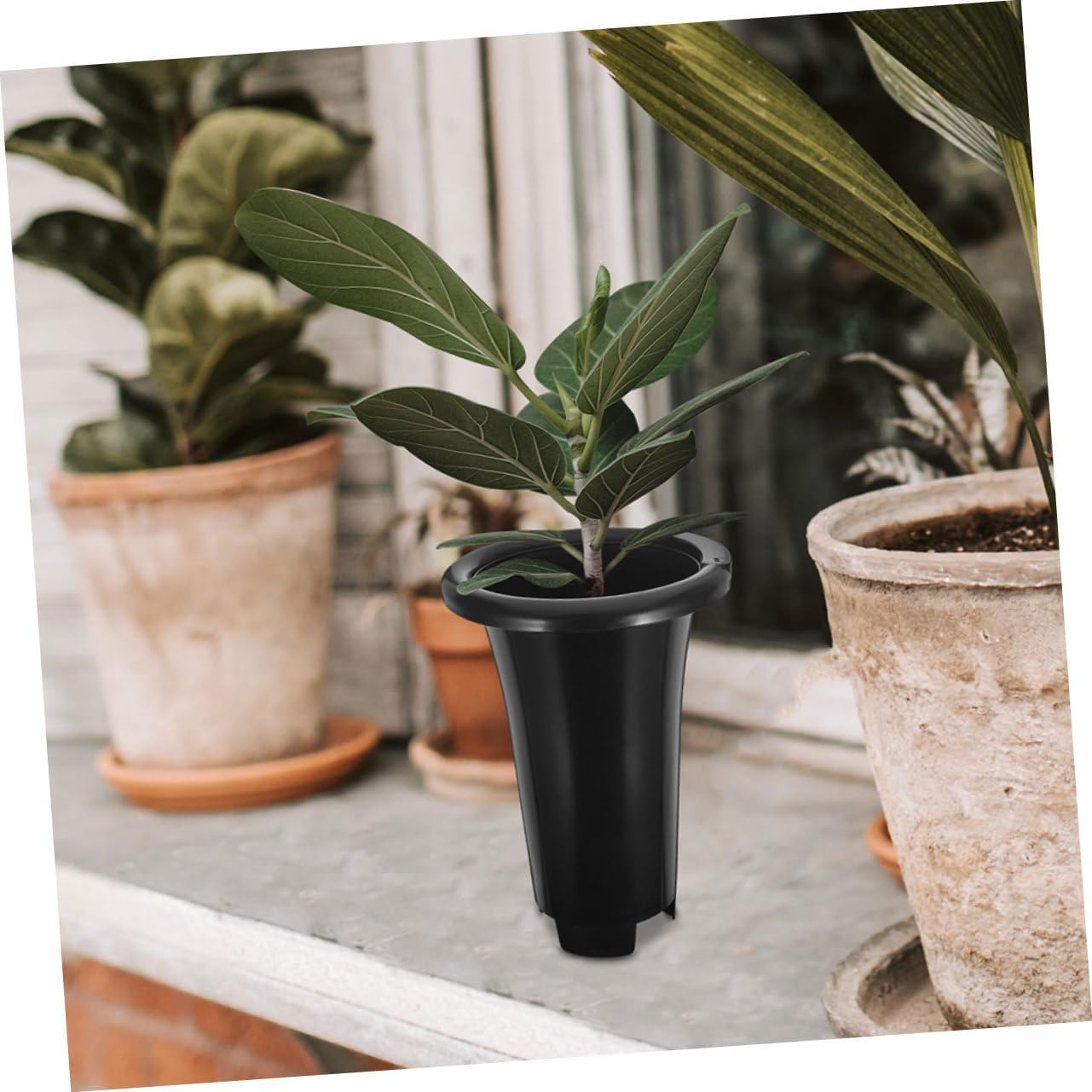 10Pcs Black Plastic Nursery Pot Thickened Large for Orchids Planting Gardening Propagator Pots Drainage image number 6