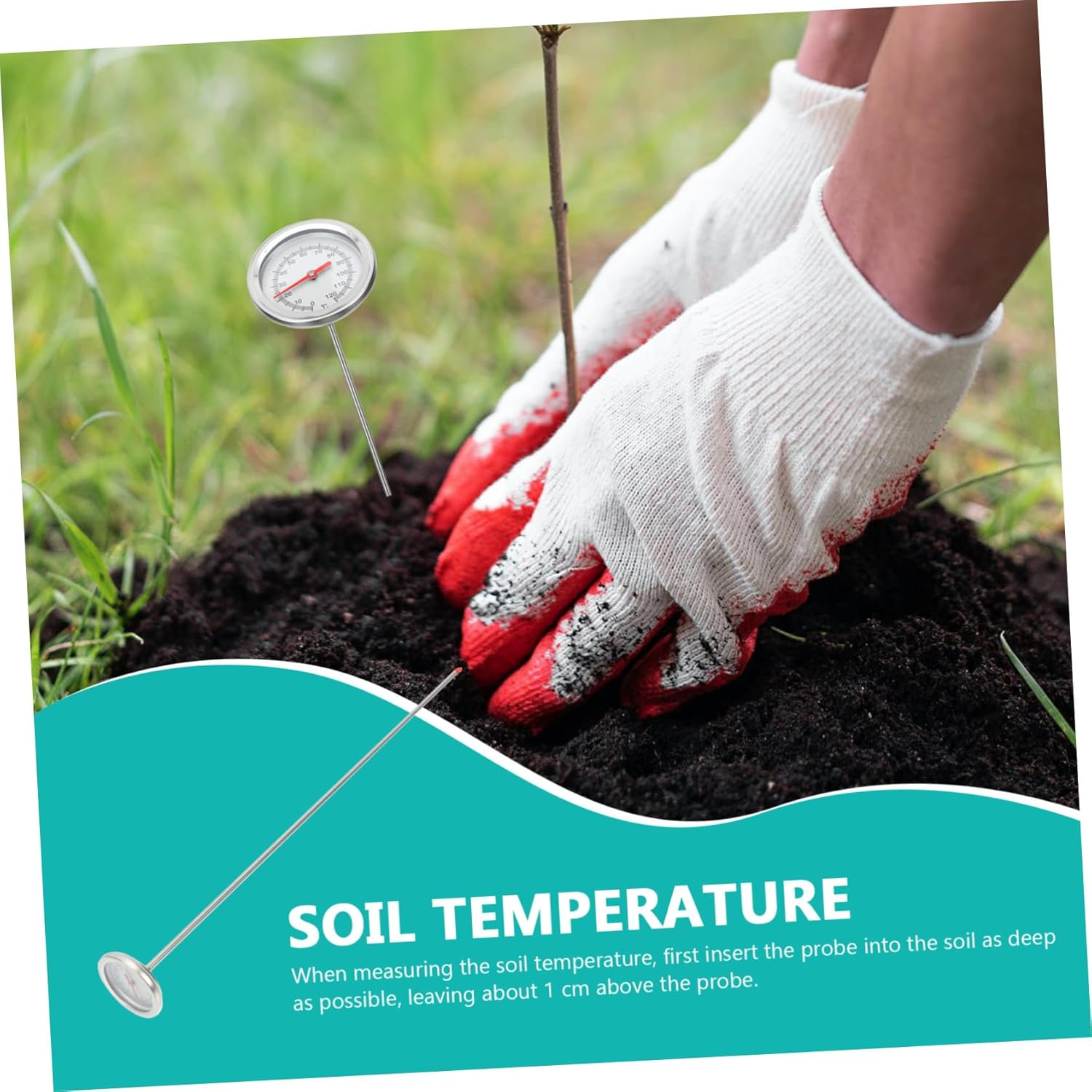 Ibasenice Stainless Steel Soil Thermometer Long Probe Gardening Temperature Detector Sensor for Compost with Accurate C- C Measurement Probe