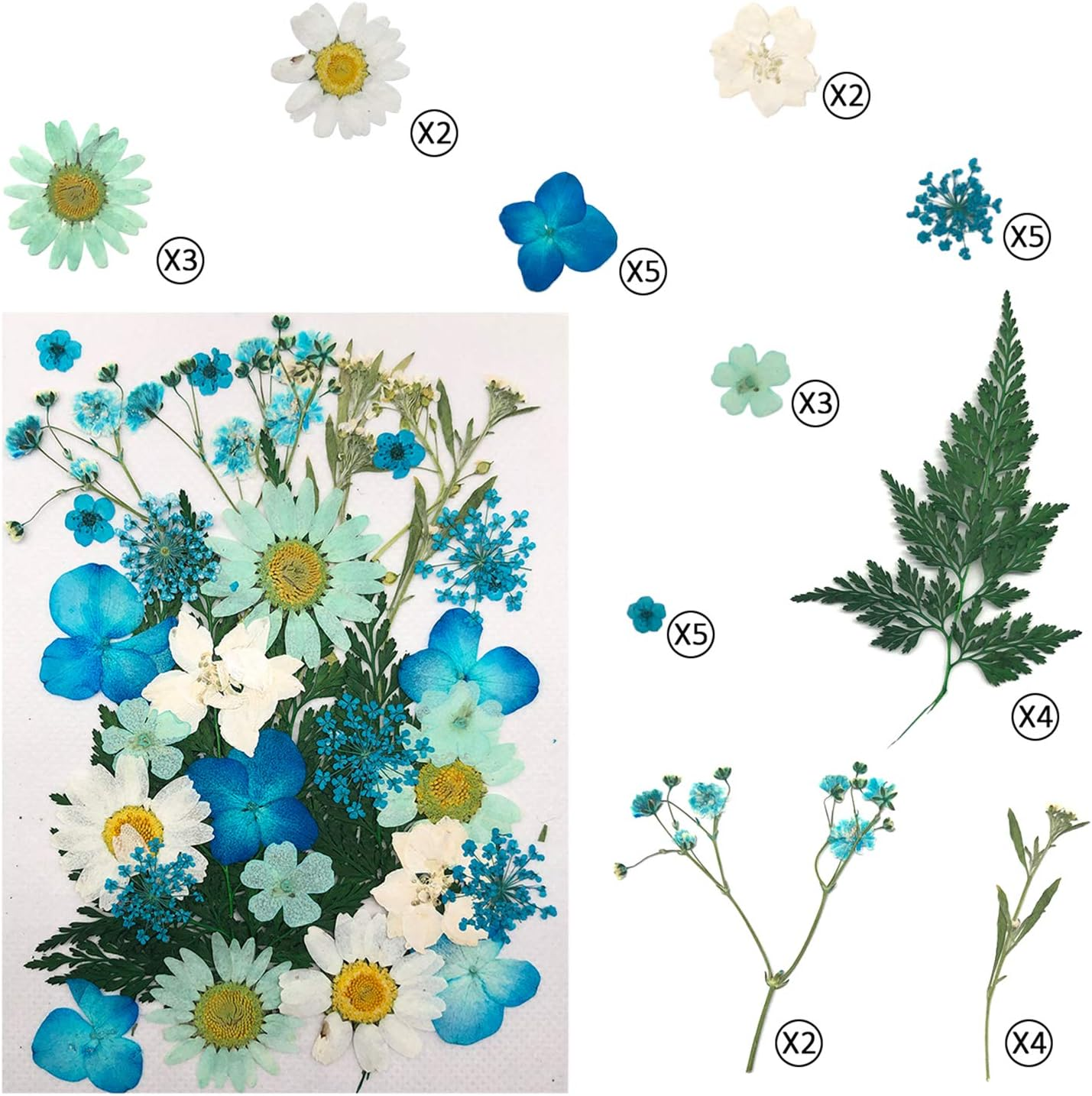 Cinvo 90 Pcs Real Dried Pressed Flowers and Leaves Natural Dried Petals for Candle Resin Jewelry Soap Nail Pendant Phone Case Crafts Making Floral Decors Scrapbooking Diy(Blue, Purple, Pink, Green) - Assorted image number 7