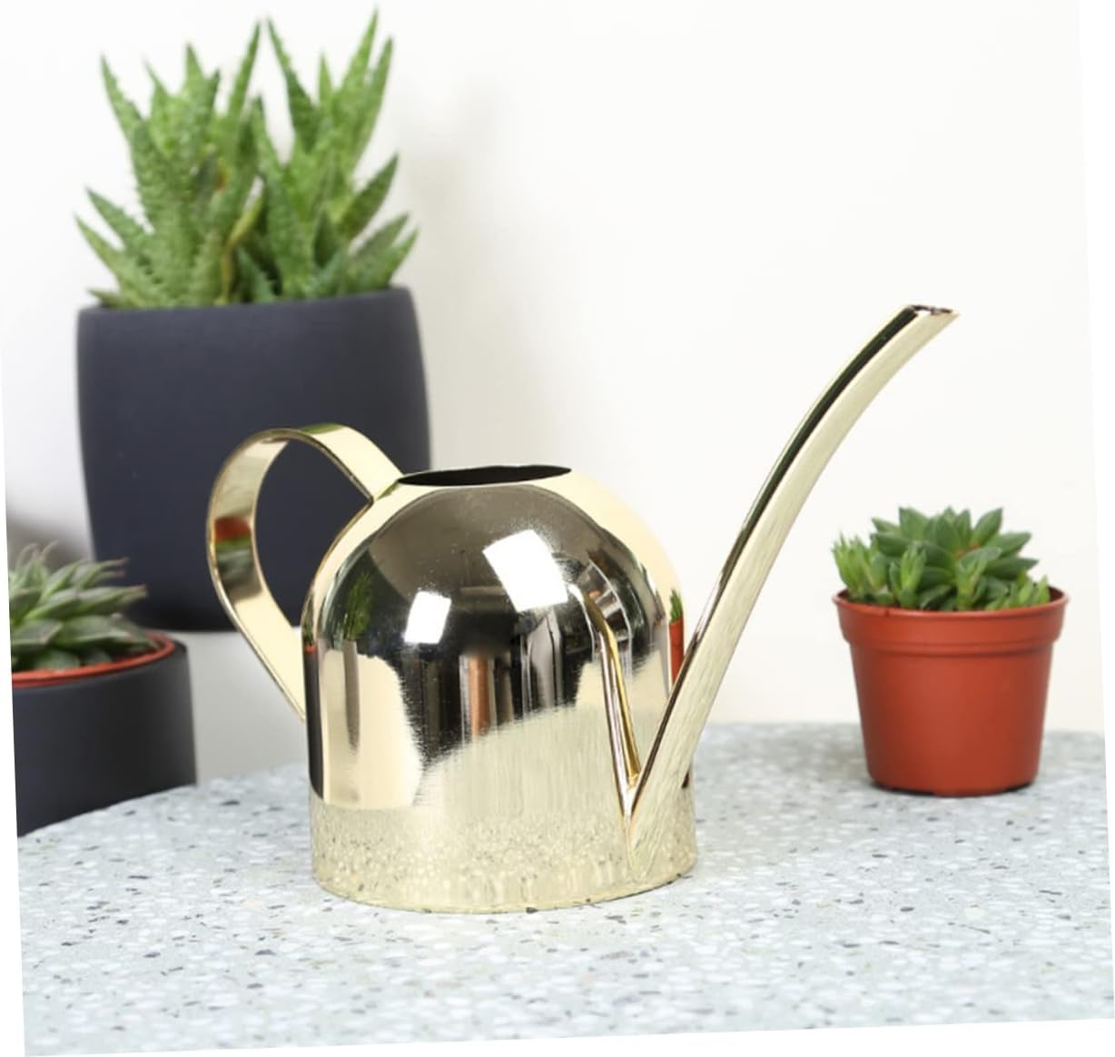 MERRYHAPY Hand Polished Stainless Steel Watering Can Automatic Nozzle for Succulent for Boys and Girls Flower Gardening