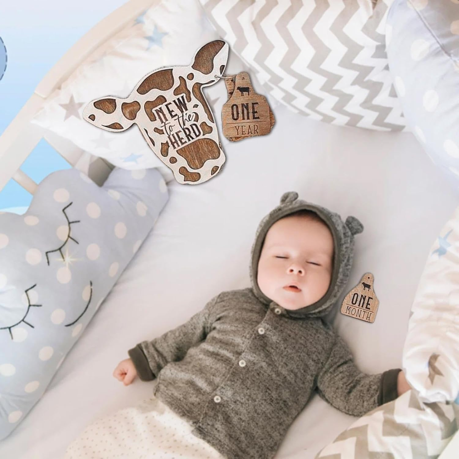 Mbiyhgta Highland Livestock Milestone Marker | Monthly Milestones for Toddlers Wood with CUET Label - 13 Pieces of Rustic Wood Herd image number 6