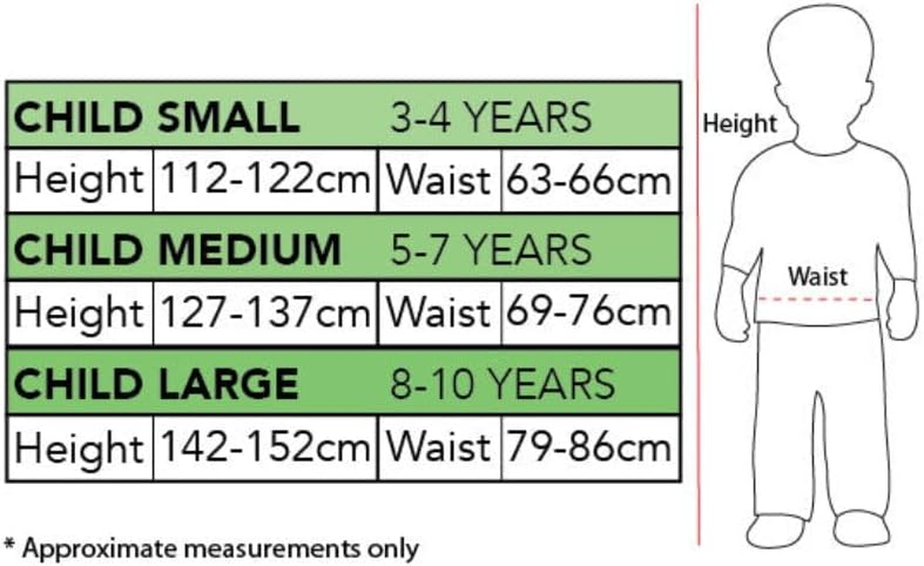 Cowardly Lion Deluxe Costume for Kids - the Wizard of Oz