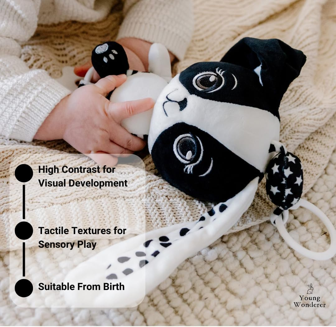 Billie the Bunny &ndash; High Contrast Sensory Baby Toy (0&ndash;24 Months) | Hanging Plush Bunny | Pram Toy, Stroller Toy, Baby Car Toy, Play Gym Hanging Toy | Black and White Hanging Baby Toy image number 1
