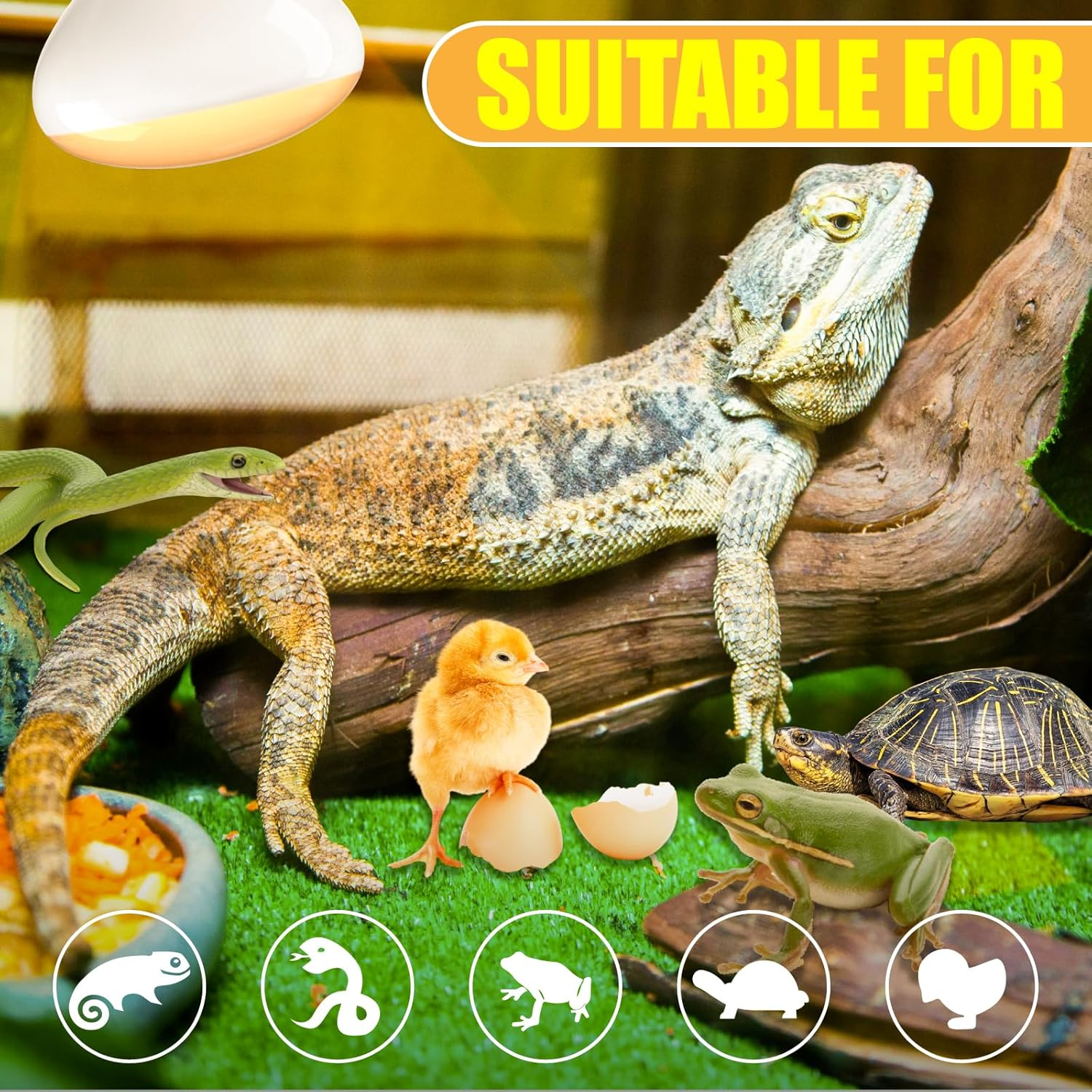 100W E27 Reptile Heat Lamp, UVA UVB Bulb for Amphibian Basking - Tortoise, Bearded Dragon, Lizard, Gecko, Puppy image number 5