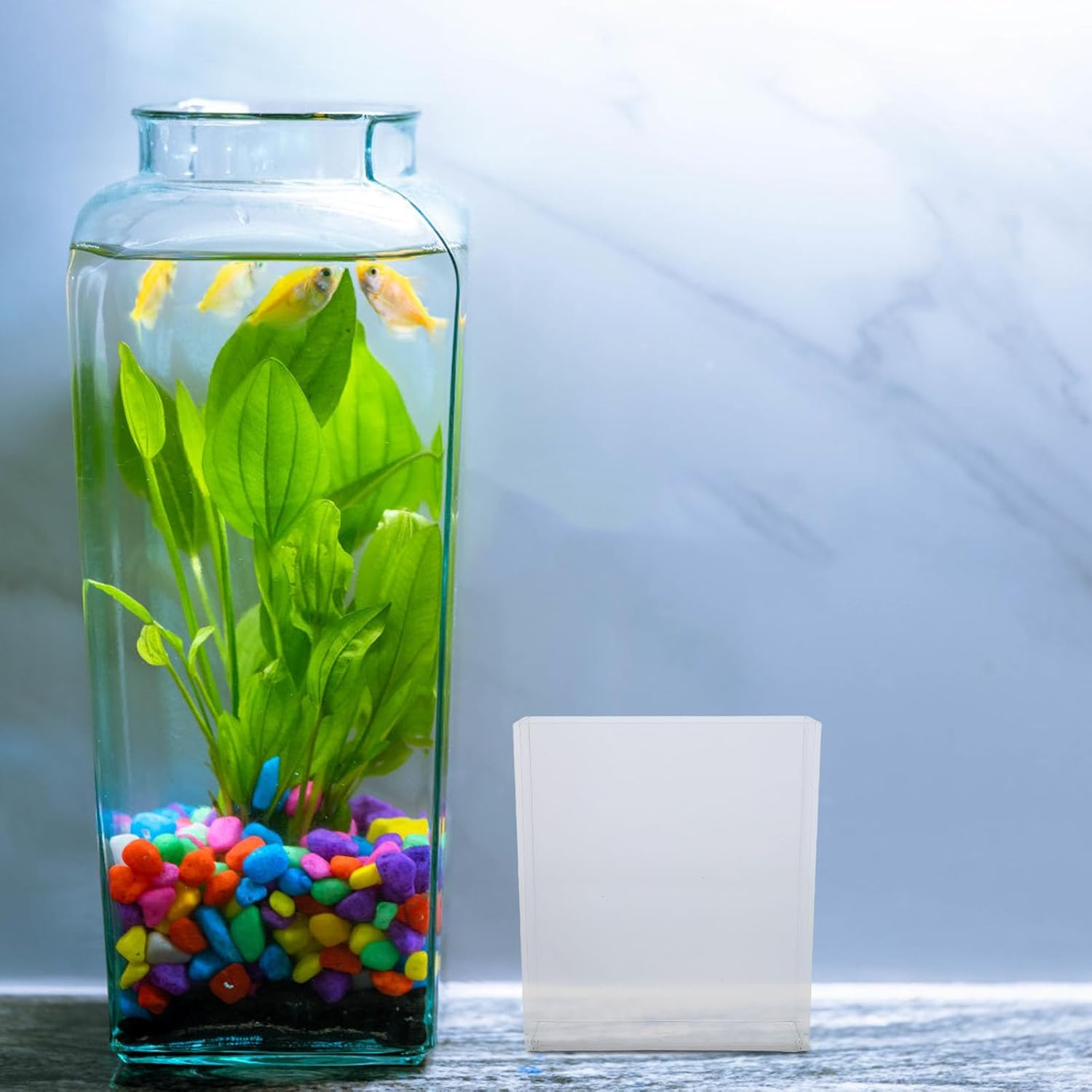 Gadpiparty Portable Fish Observation Box Acrylic Desktop Aquarium Breeding Tank for Betta Fish and Small Aquatic Pets image number 2