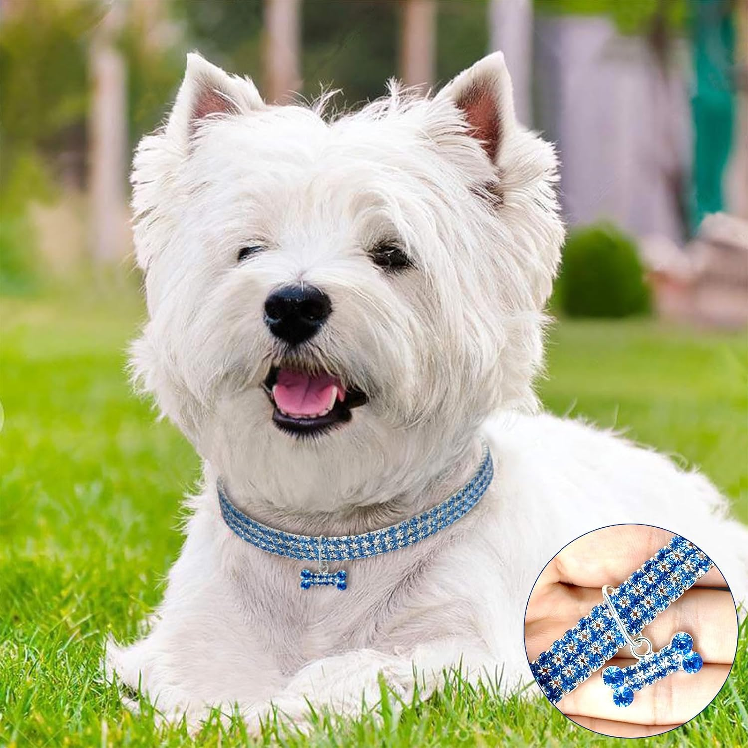 Dog Collar with Diamonds, Small Dog Cat Collar Adjustable Pet Collar Chain Metal Blue Crystal Dog Necklace for Pet Necklace Accessories with Bone Pendant Shiny Puppy Collar for Bulldog (23.5+5Cm)