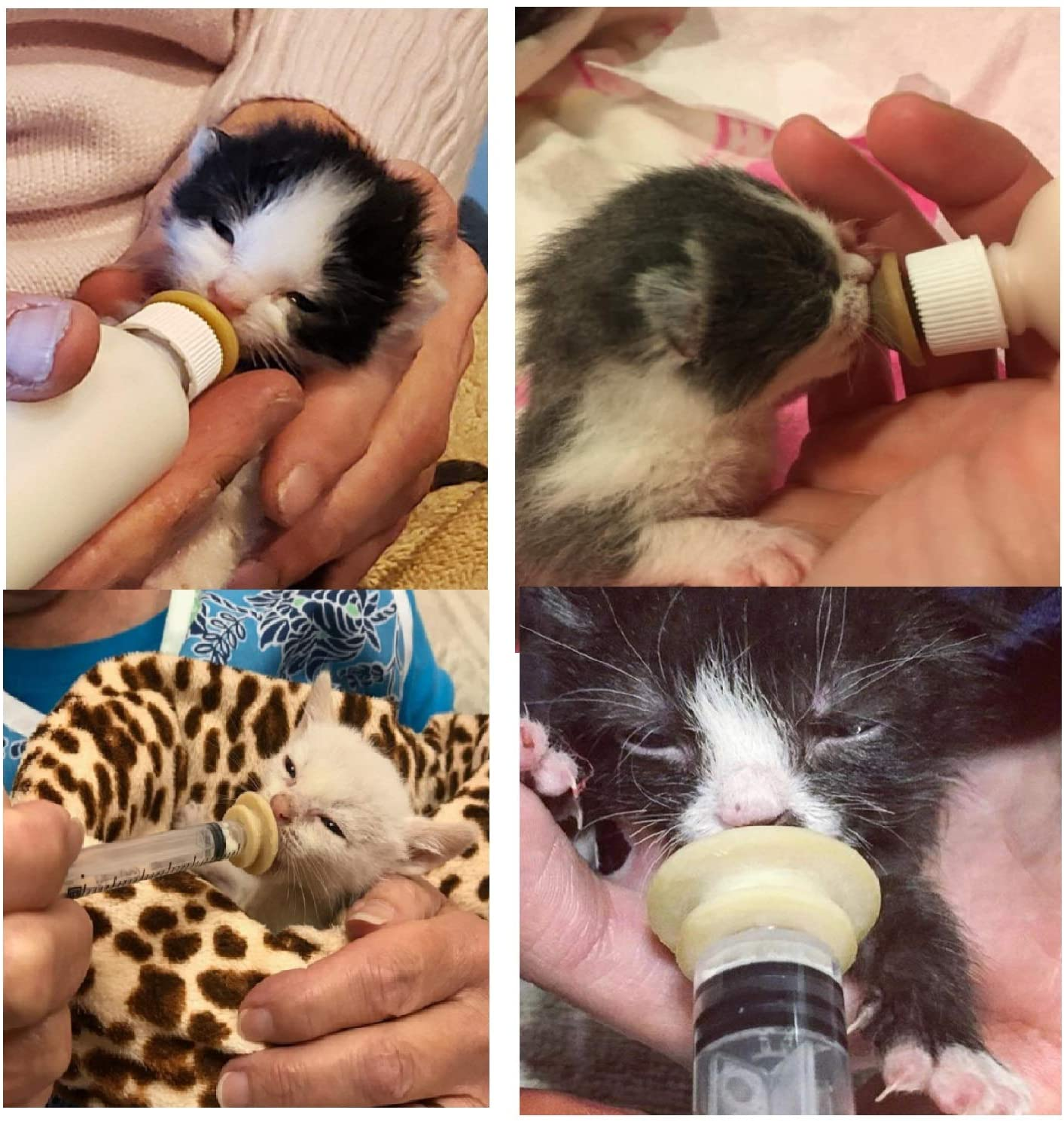 Pet Feeding Bottle and Artificial Pacifier, Suitable for Mammals Such as Kittens, Puppies, Rabbits, Squirrels, Etc., Which Are 10-30 Days Old, image number 2