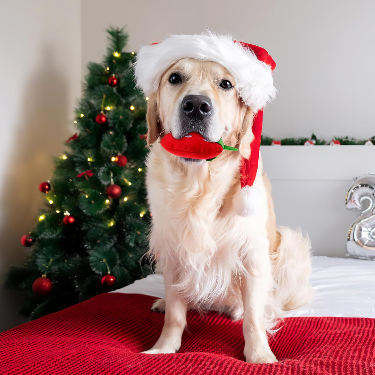 Toddmomy 2Pcs Squeaky Dog Toys,Soft Strawberry Shape Plush Dog Toys Interactive Dog Chew Toys for Medium, Small Puppy Dogs Teething Toys