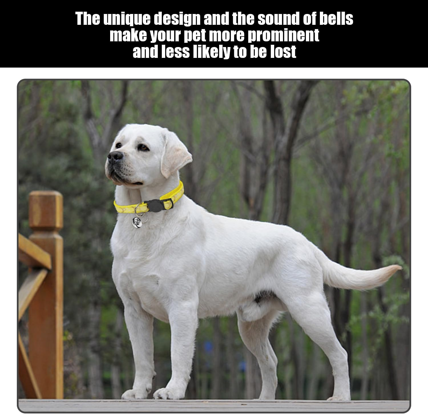 JDNFKG Pack of 2 Pet Bell Collars, Adjustable Design, Comfortable Cat and Dog Collar, Pet Supplies.