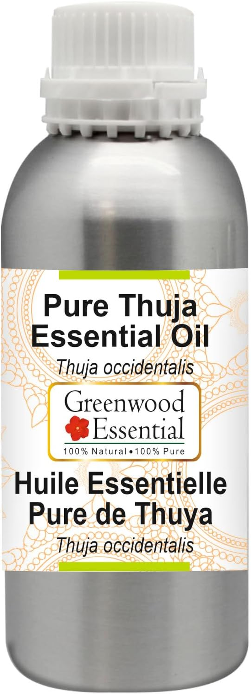 Greenwood Essential Pure Thuja Essential Oil (Thuja Occidentalis) Steam Distilled for Personal Care 1250Ml (42Oz) image number 4