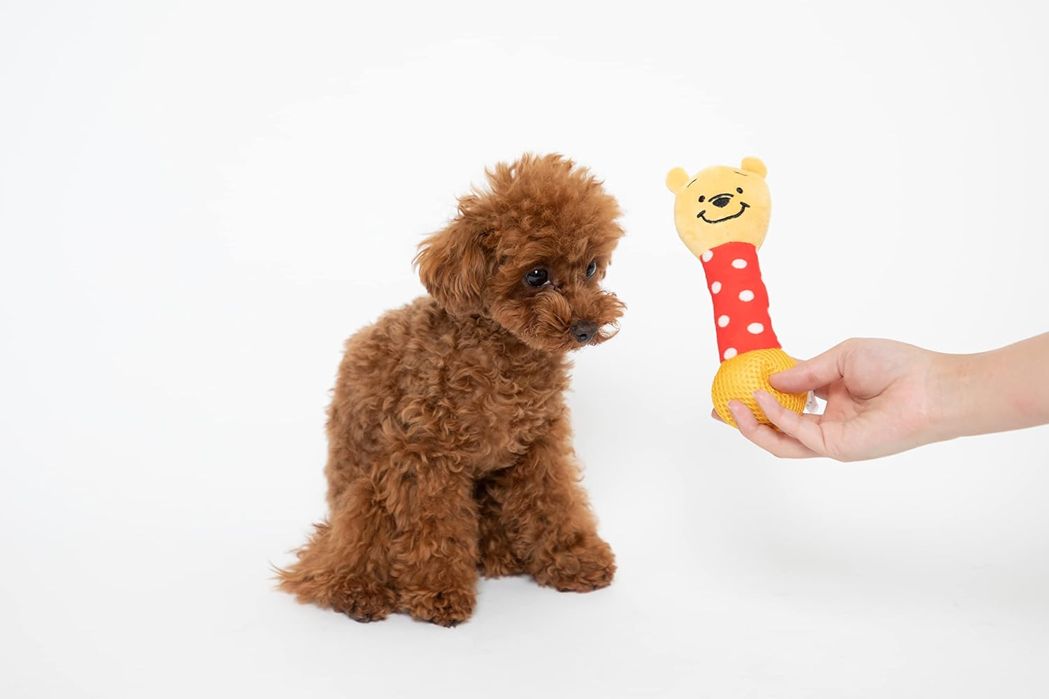 Disney Toy Pooh Carakara Toy for Dogs image number 5