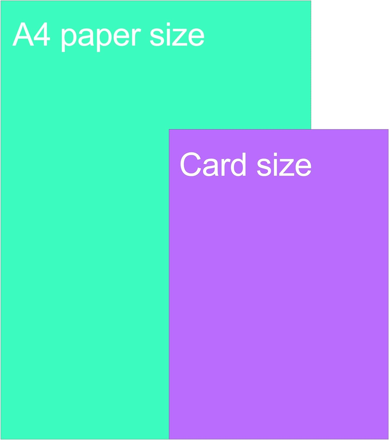 Limalima Funny Birthday Fathers Day Card from the Dog Perfect for Dad Son Daughter Wife Boyfriend Husband image number 4