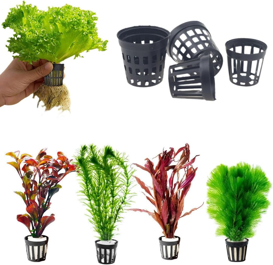 15 Pcs Aquarium Planting Baskets Rings, Aquatic Plants Fixed Ring Set, Aquatic Plant Planting Basket Flower Pots Aquarium Plant Weights Pot Anti-Floating Aquarium Decoration Fish Tank Accessories image number 6