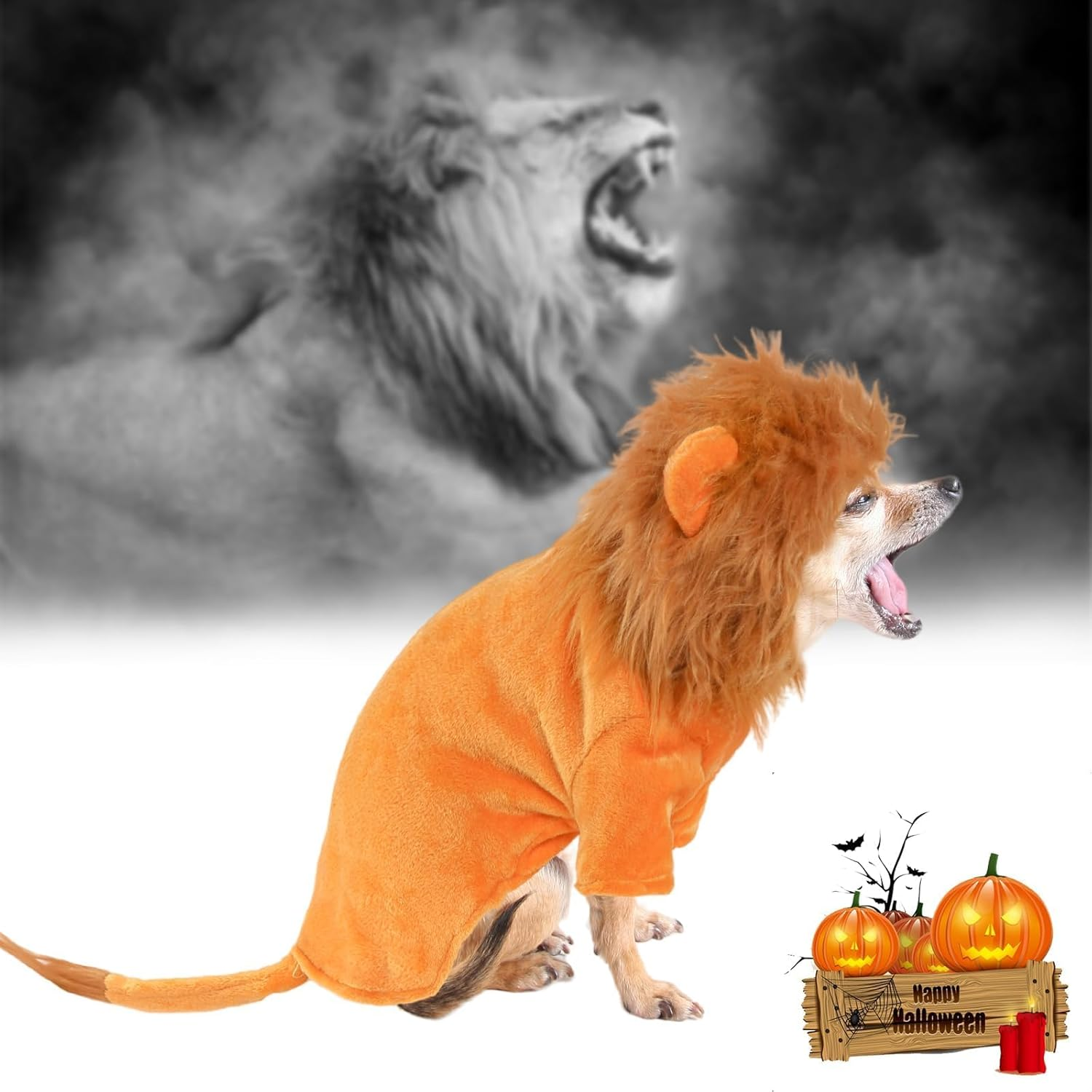 NACOCO Dog Halloween Lion Costume - Large Pet Clothes Cosplay Outfit Dog Lion Mane Apparel Party Hoodies Warm with Leash Hole for Small Medium to Large Sized Dogs (X-Large) image number 5