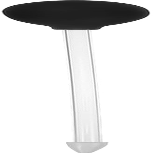 Kisangel Feeder Tube 30Cm Coral Aquarium Dropper for Saltwater Tanks - Silicone Sucker & Transparent Acrylic Tube - Professional Aquarium Maintenance