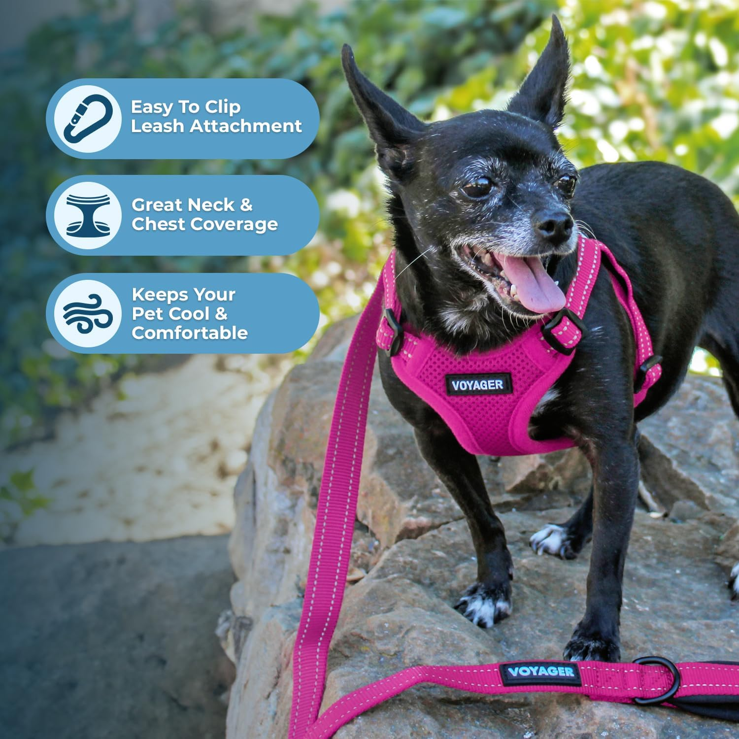 Best Pet Supplies Voyager Step-In Flex Dog Harness - All Weather Mesh, Step in Adjustable Harness for Small and Medium Dogs Fuchsia, Small image number 4